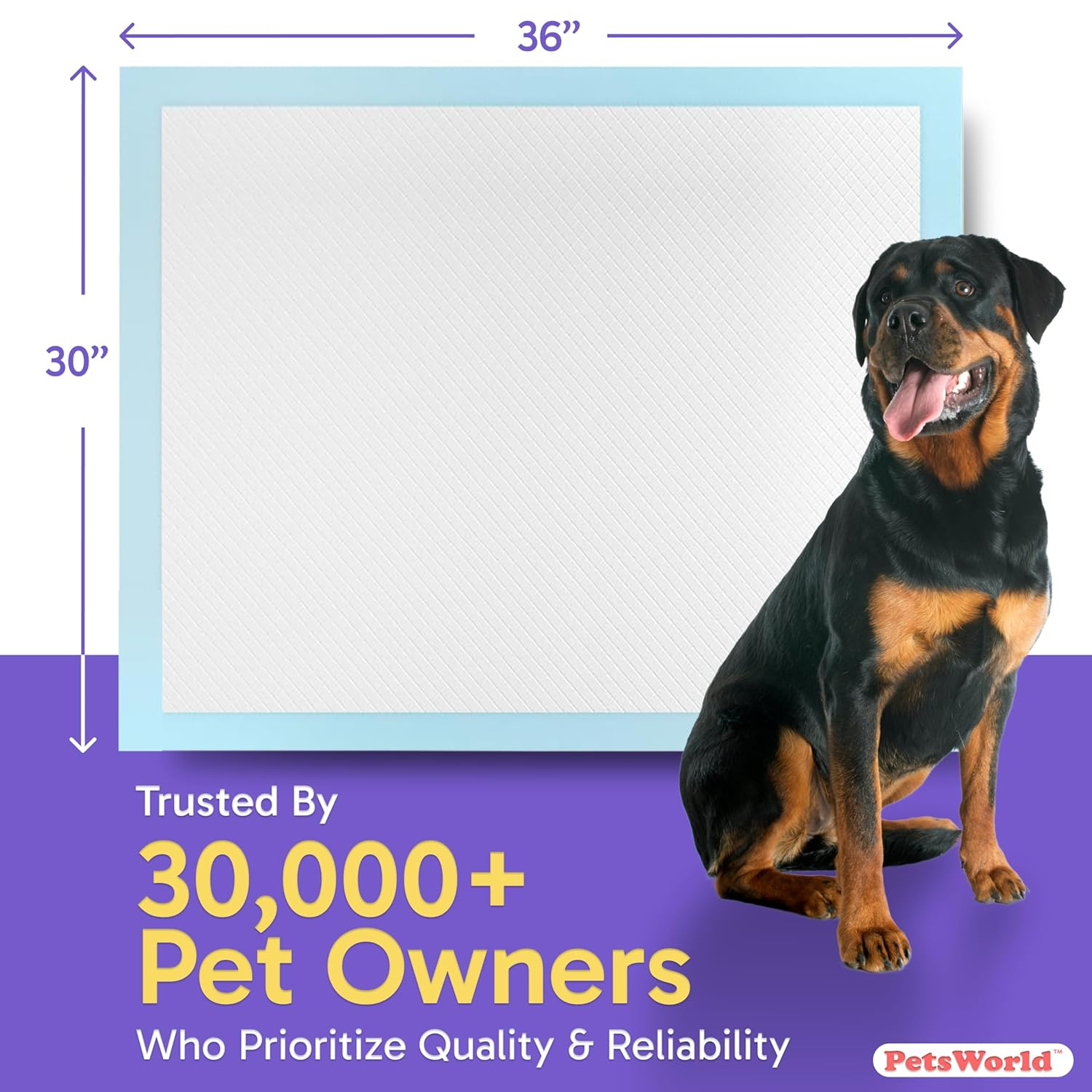 Extra Large Blue Odor Eliminating Dog Potty Pads, 300 Count