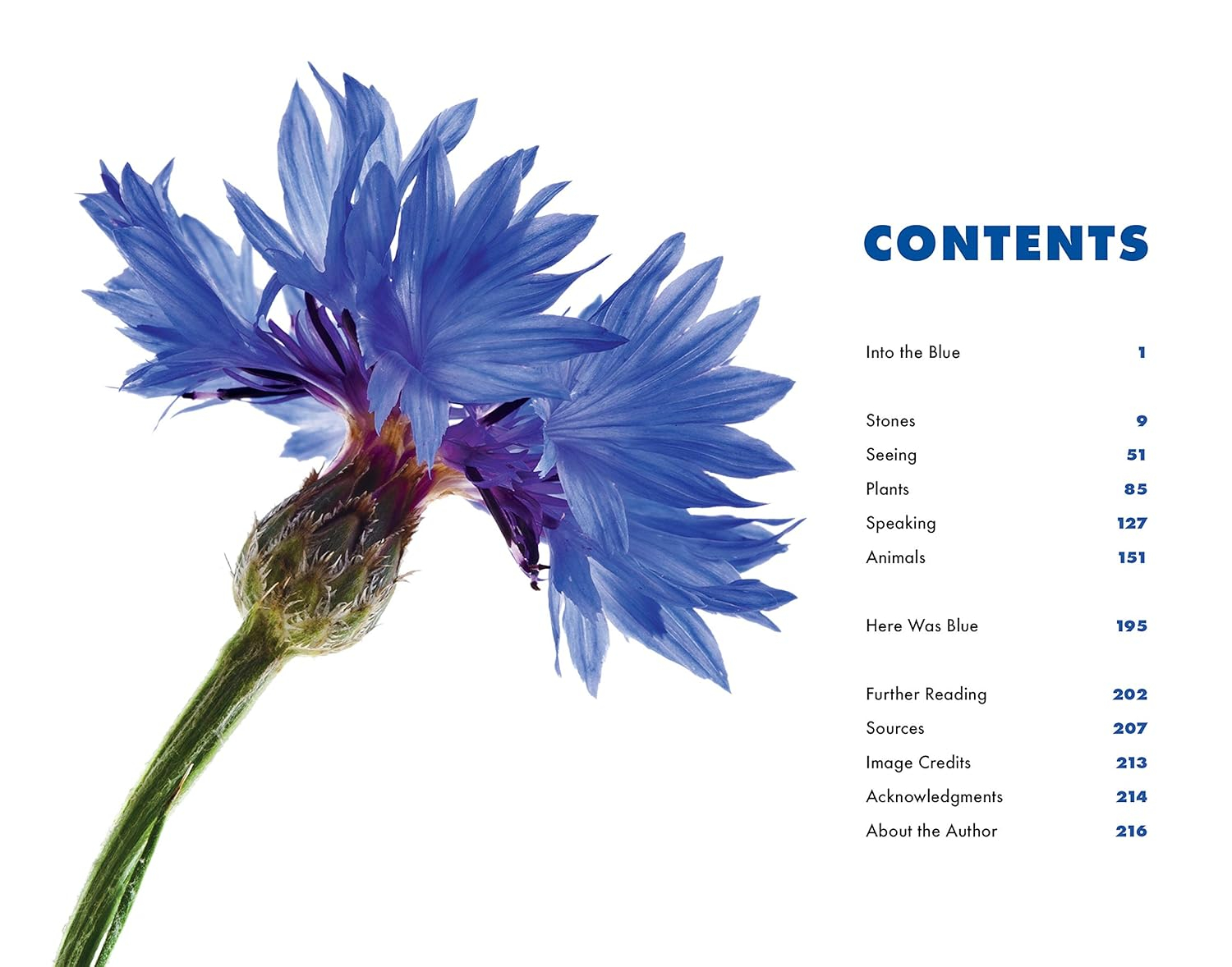 Blue: The Science and Secrets of Nature’s Rarest Color Paperback Book