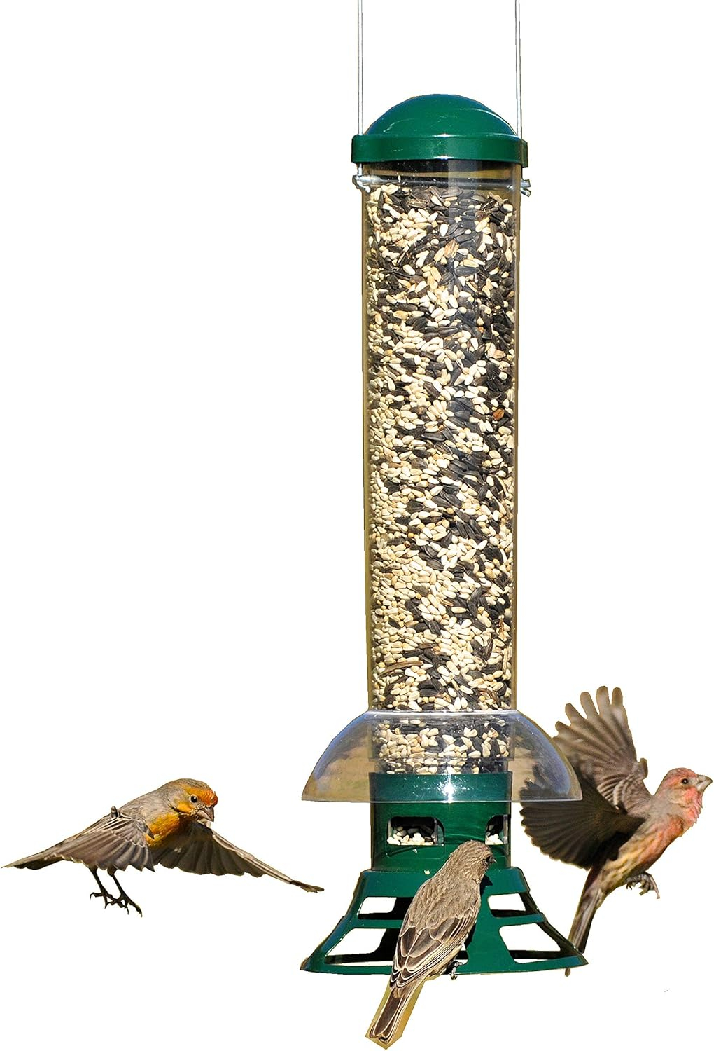 Woodstream Metal Hanging Tube Bird Feeder