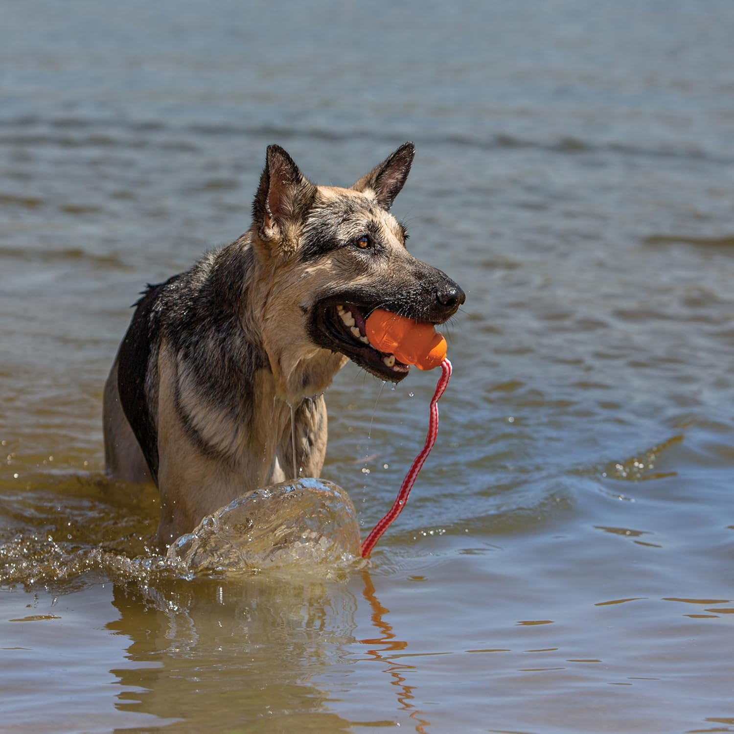 KONG Aqua Retrieval Floating Dog Toy, Orange, Large