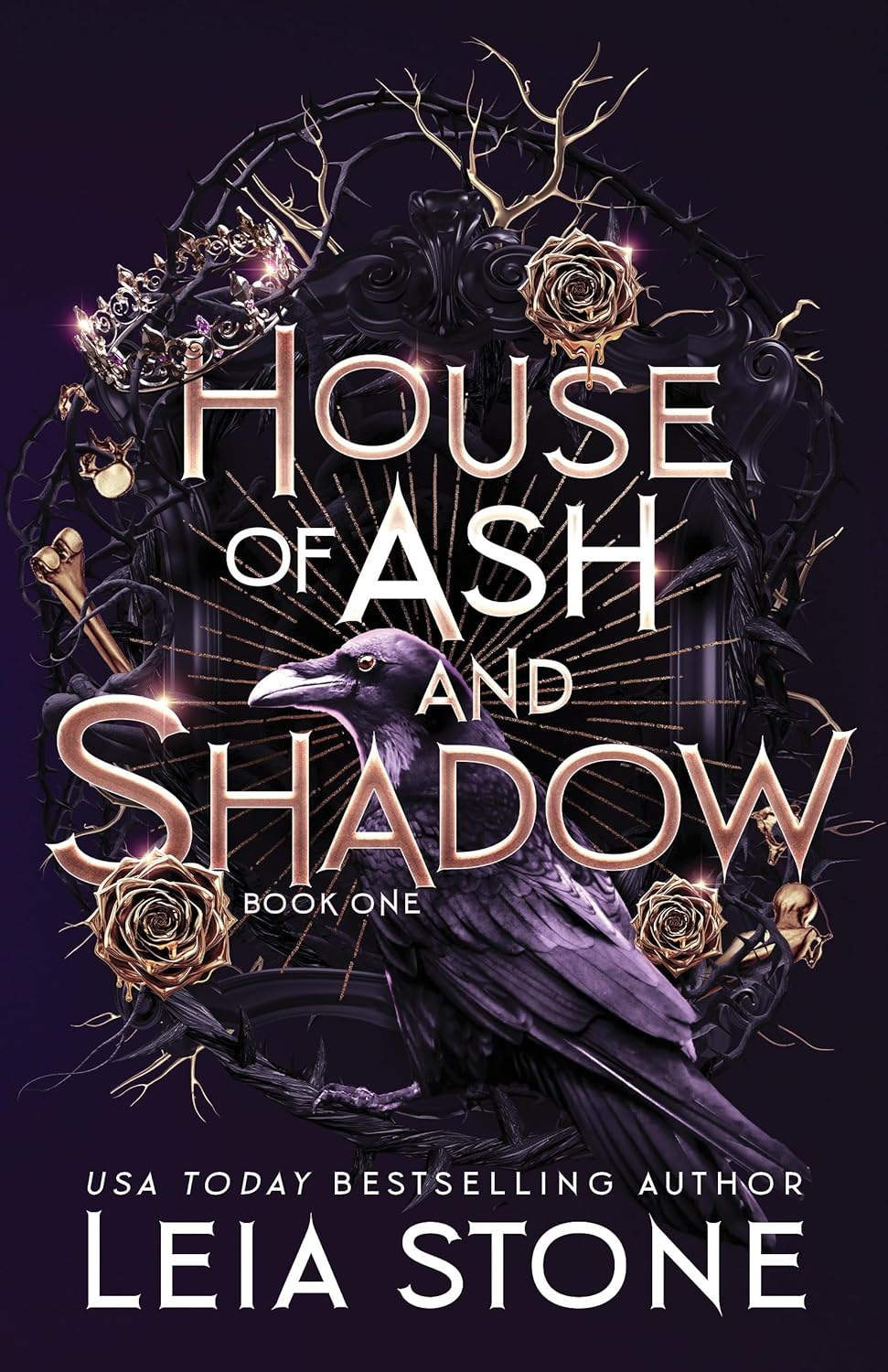 House of Ash and Shadow - (A Gilded City) by  Leia Stone (Paperback)