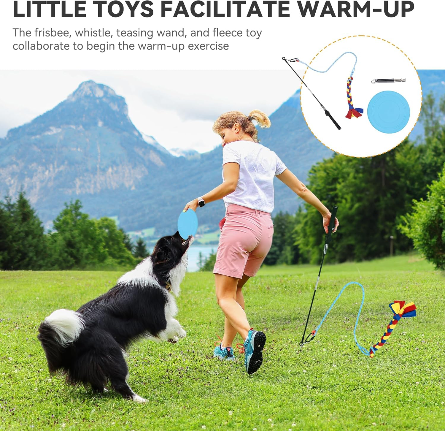 Red and Blue Dog Agility Training Set with Tunnels