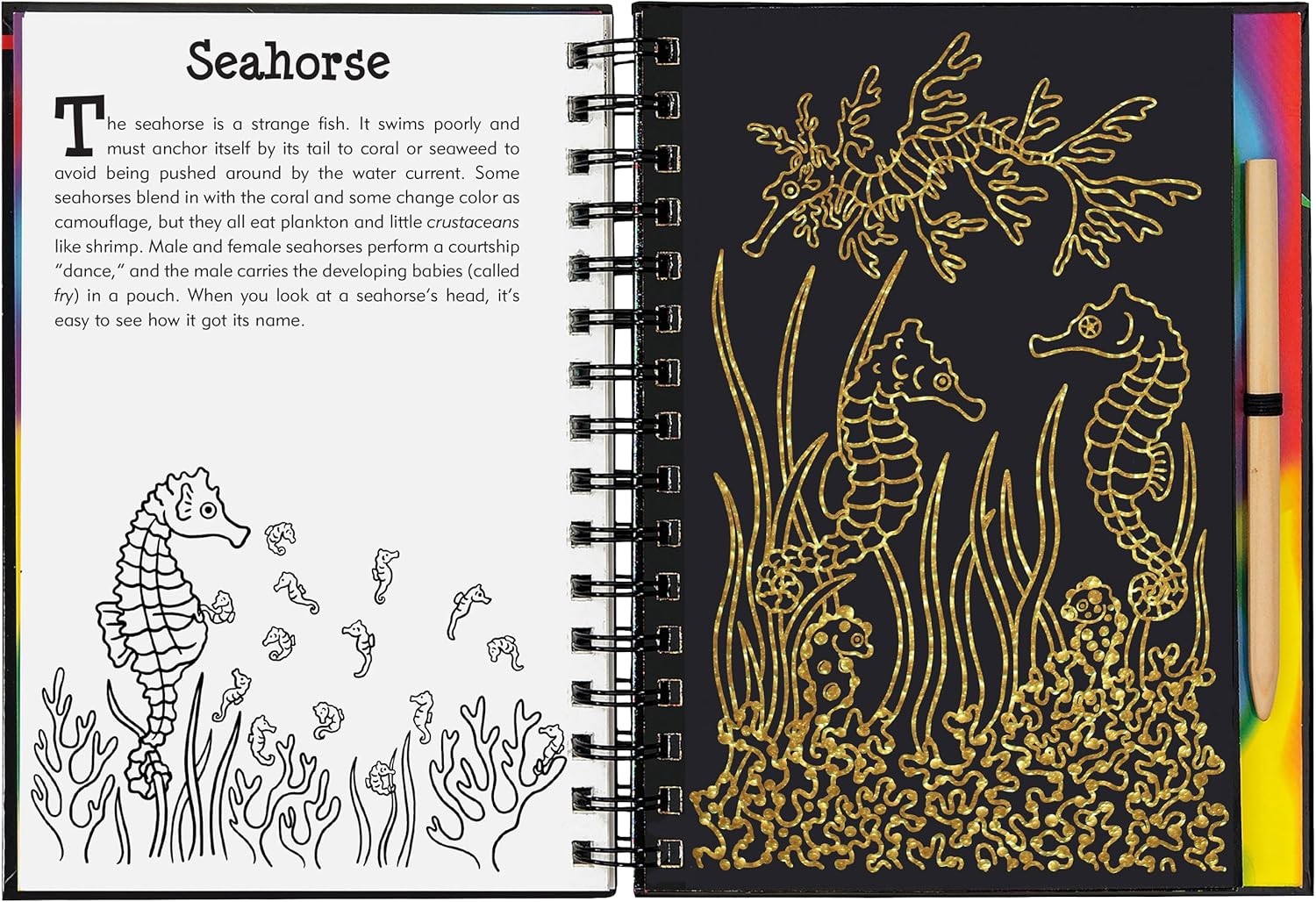 Scratch and Sketch Trace-Along Scratch & Sketch Coral Reefs, (Hardcover)