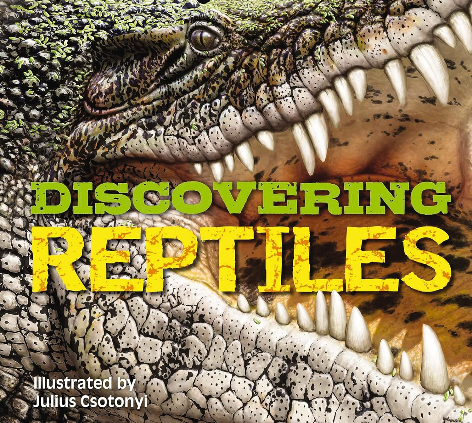 Discovering Reptiles - by  Thomas Nelson (Hardcover)