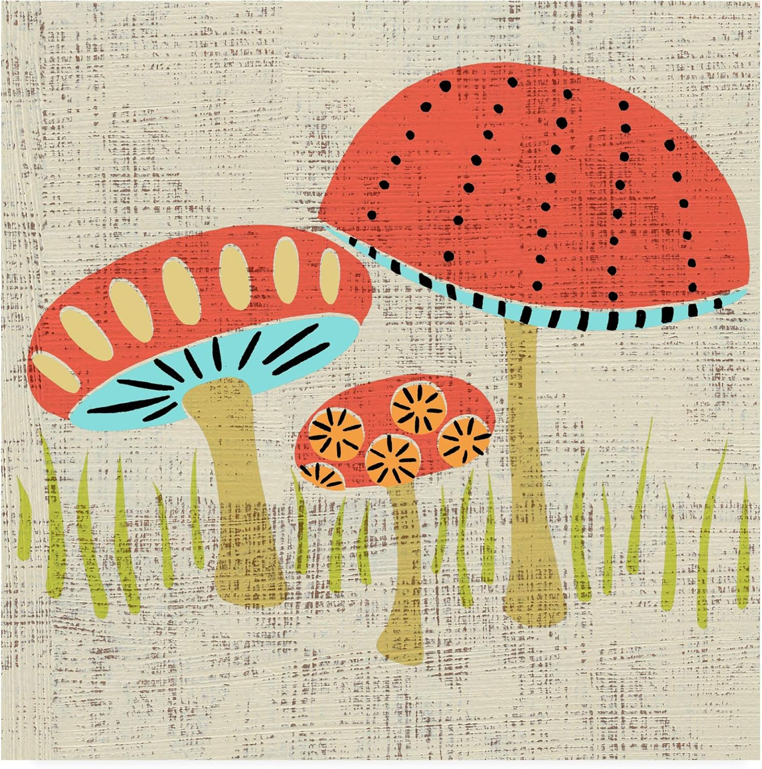 Trademark Fine Art 'Adas Mushrooms' Canvas Art by Chariklia Zarris