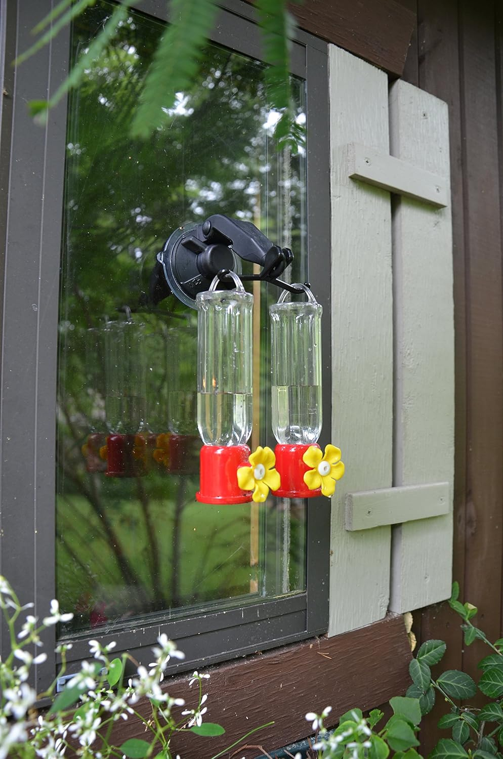 Red Carpet Studios 41254 Hummingbird Feeder Double Window Hook