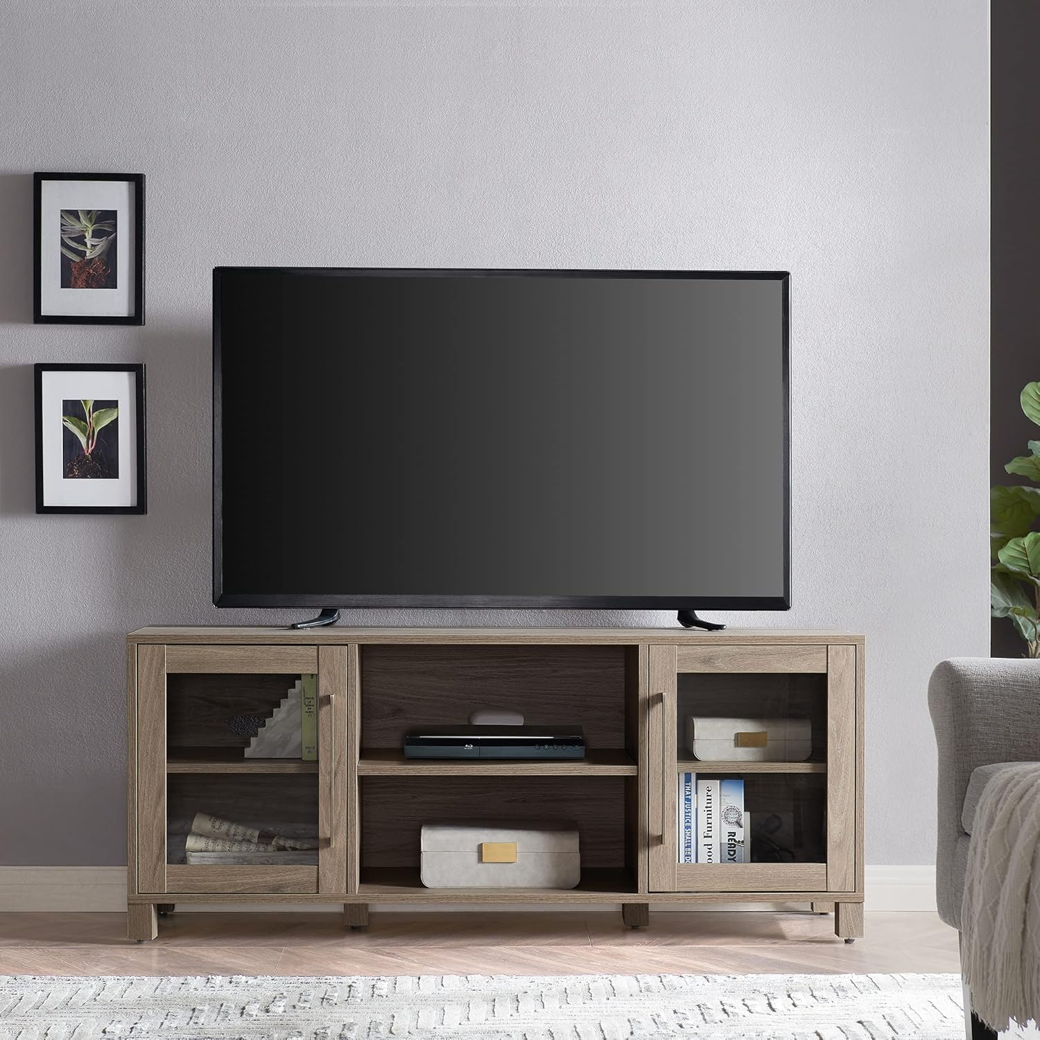 Evelyn&Zoe Quincy Rectangular TV Stand for TV's up to 65", Antiqued Gray