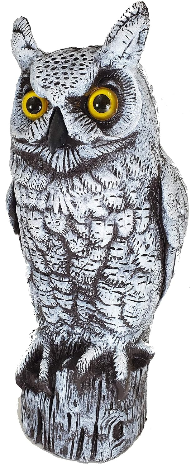 Dalen Fake Owl Decoy to Scare Birds Away from Gardens, Rooftops, and Patios - Scarecrow Provides Chemical-Free Pest Control - Safe and Humane, 16" Great Horned Owl - Snow White