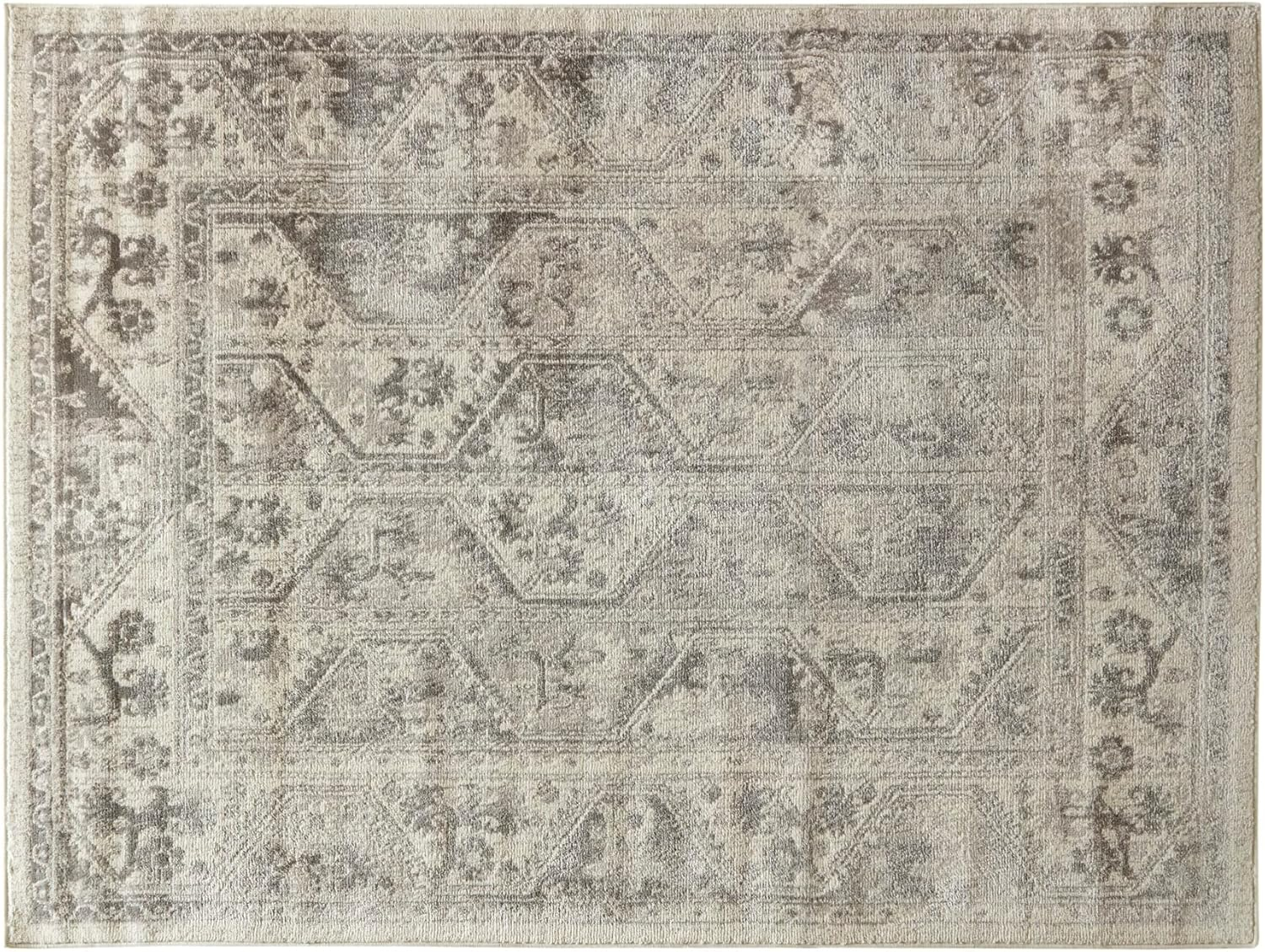 Madison Park Dakota Vienna Woven Turkish Area Rugs for Living Room, Indoor Dining Accent Modern Home Décor, Ultra Soft Floor Carpets for Dining Room, 7'11"W x 10'L, Distressed Tiled Beige