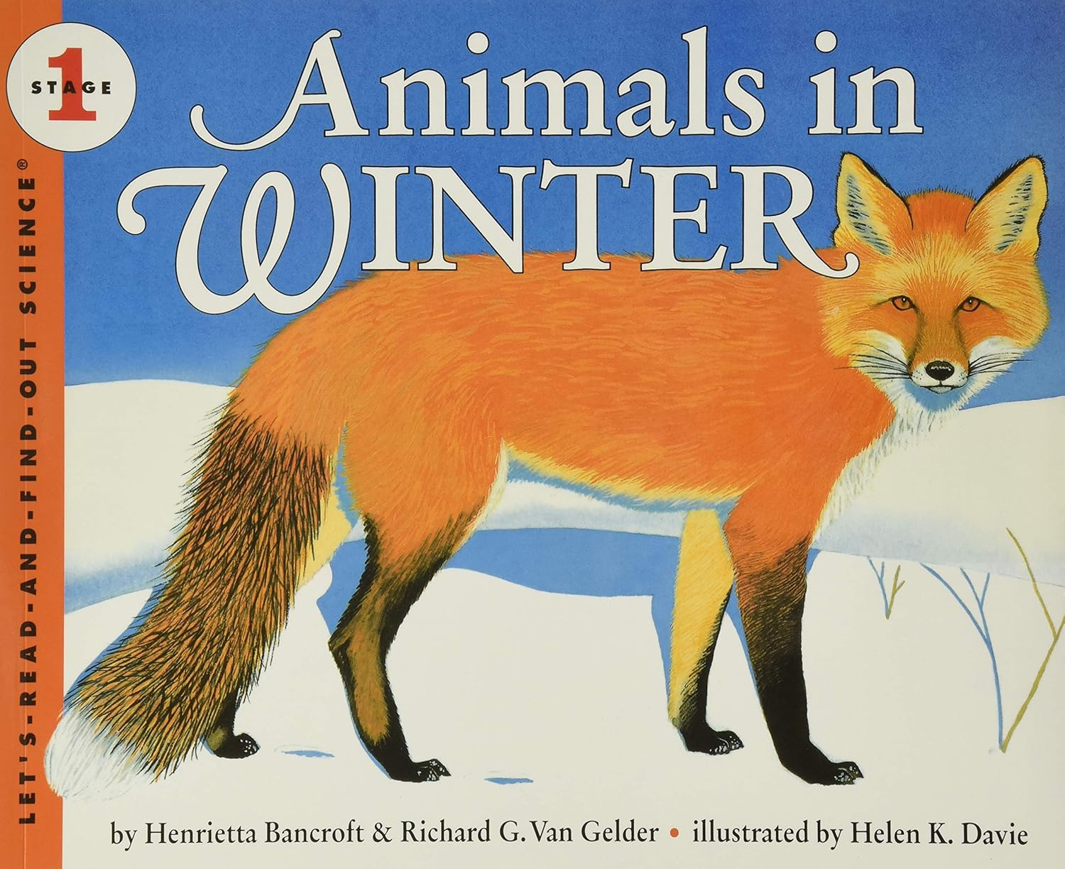 Animals in Winter - (Let's-Read-And-Find-Out Science 1) by  Henrietta Bancroft & Richard G Van Gelder (Paperback)