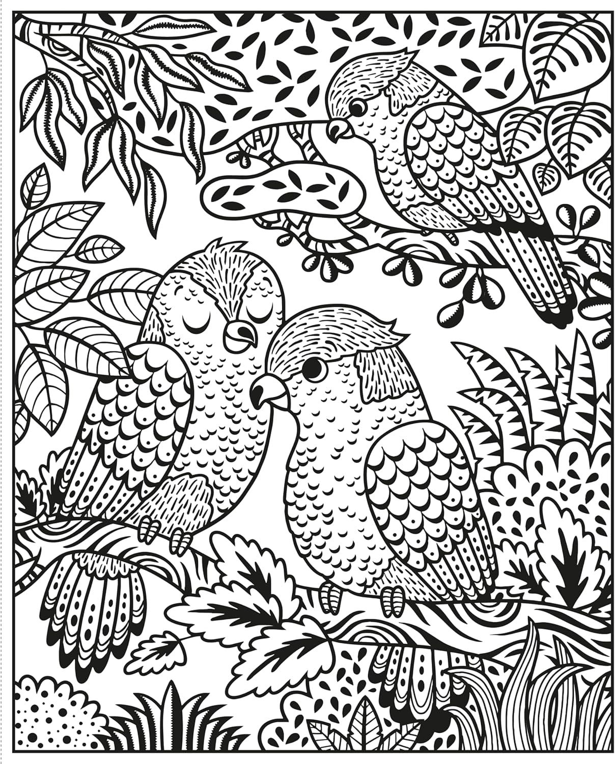 Zoo Magic Painting Book - (Magic Painting Books) by  Sam Taplin (Paperback)