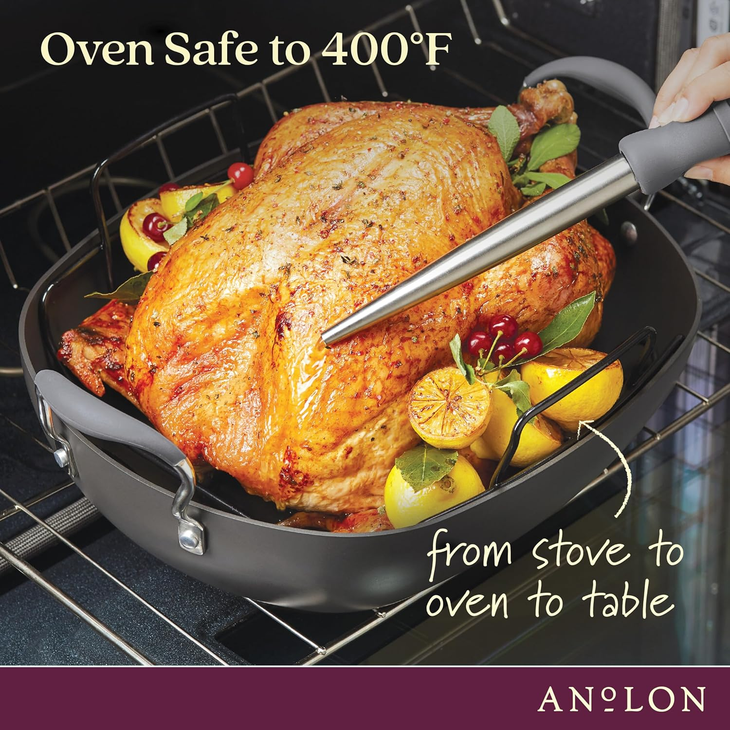 Anolon Advanced Hard Anodized Nonstick Roaster with Rack, Pewter