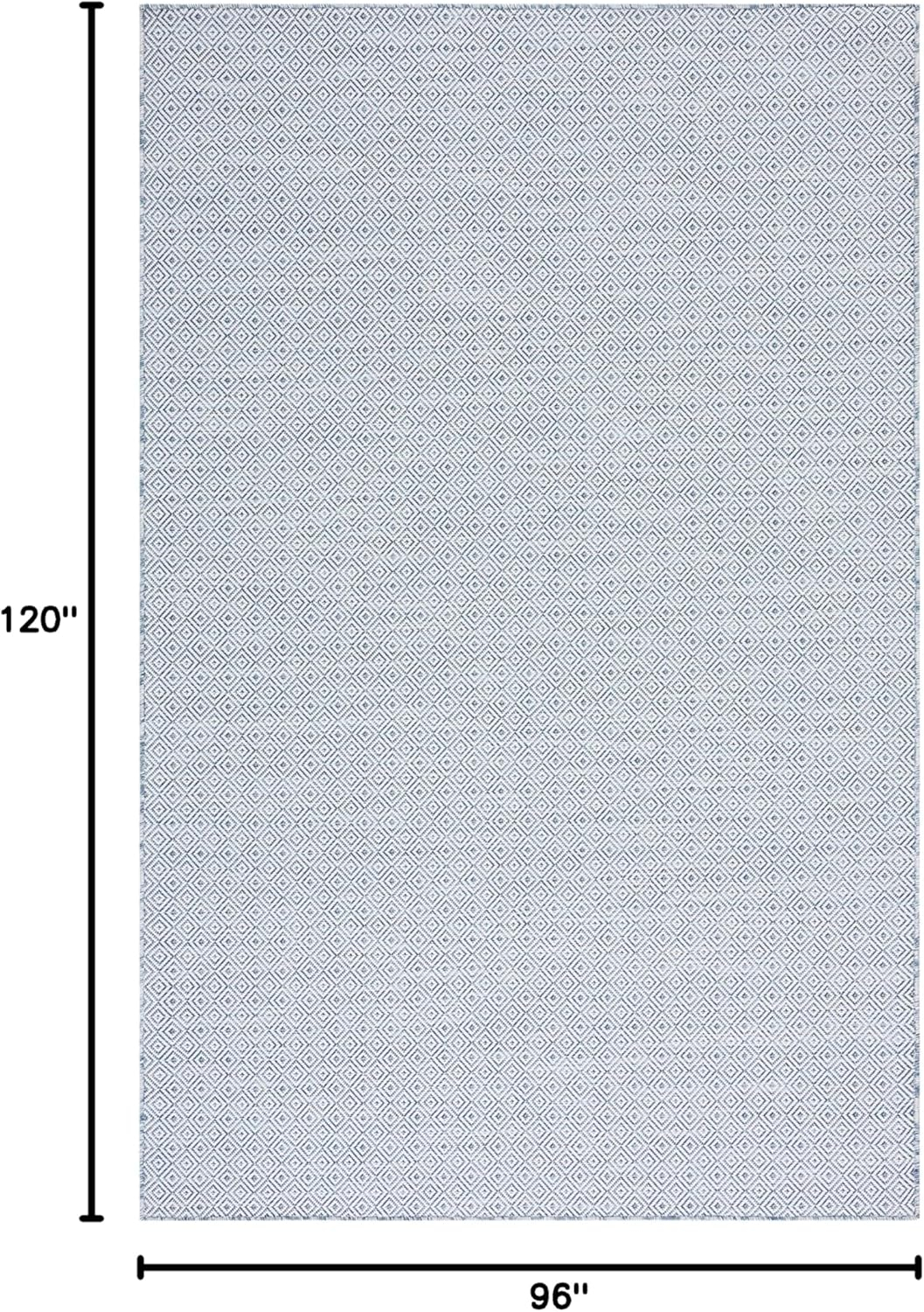 SAFAVIEH Hampton Ali Diamond Indoor/Outdoor Area Rug, Navy/Ivory, 8' x 10'