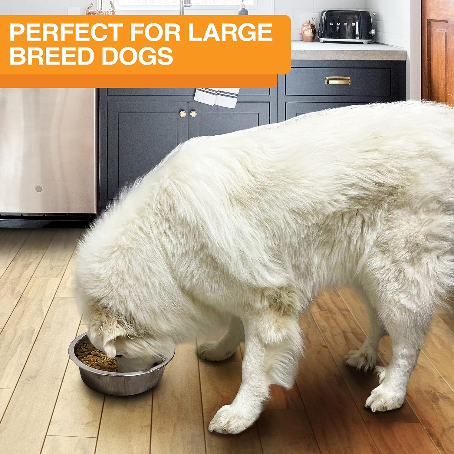 Neater Pet Brands Stainless Steel Dog and Cat Bowls - Extra Large Metal Food and Water Dish (12 Cup)