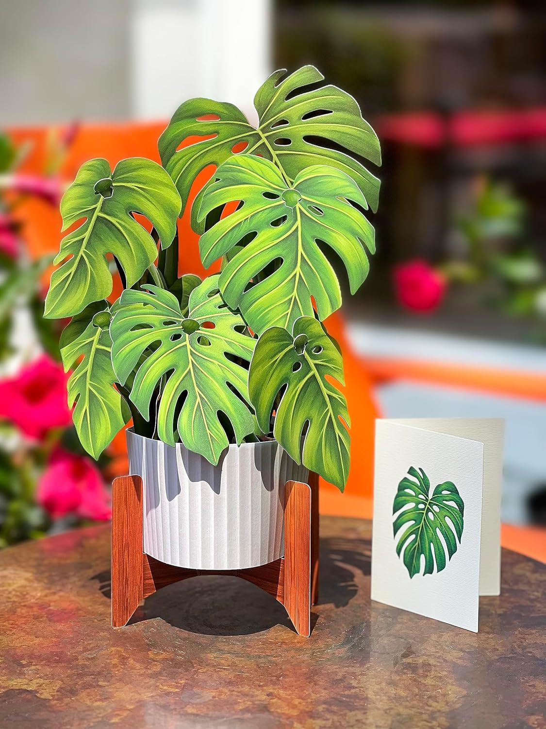 Freshcut Paper Pop Up Cards, Monstera, 12 Inch Life Sized Paper House Plants 3D Popup Greeting Cards, Birthday Card, Thank You Card, Blank Notecard & Envelope