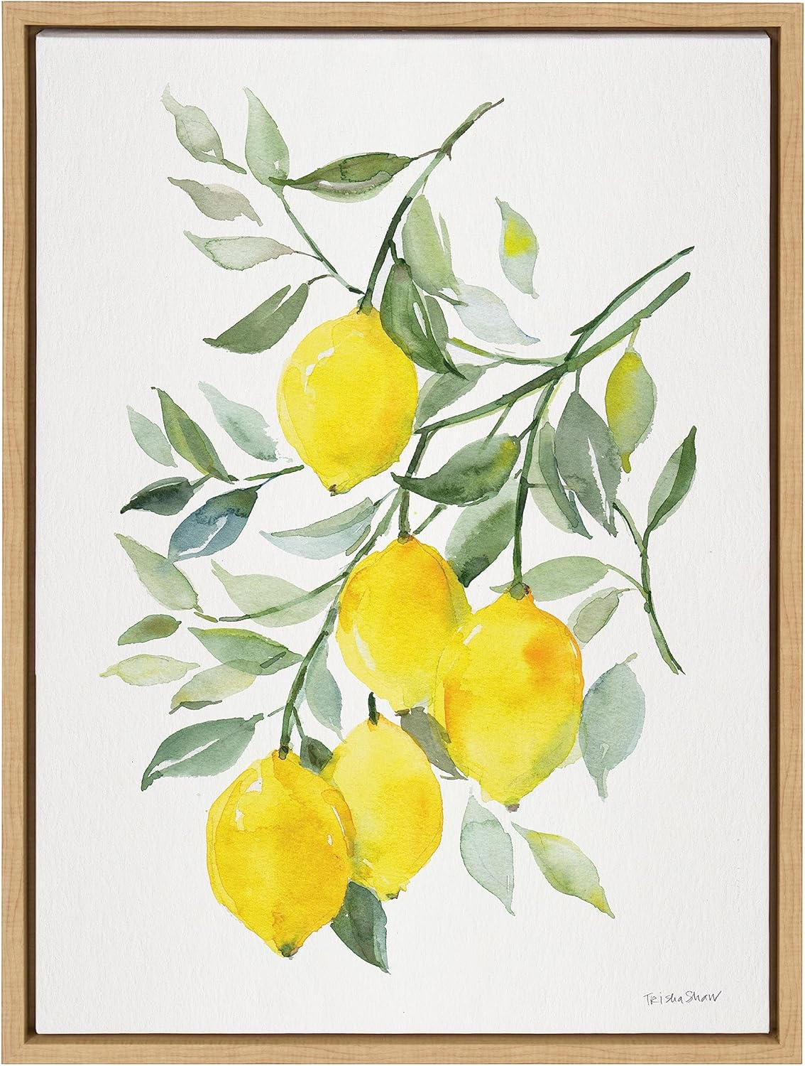 Kate and Laurel Sylvie Lemon Citrus Framed Canvas Wall Art by Patricia Shaw, 18x24 Natural, Colorful Bright Yellow Fruit Art for Wall
