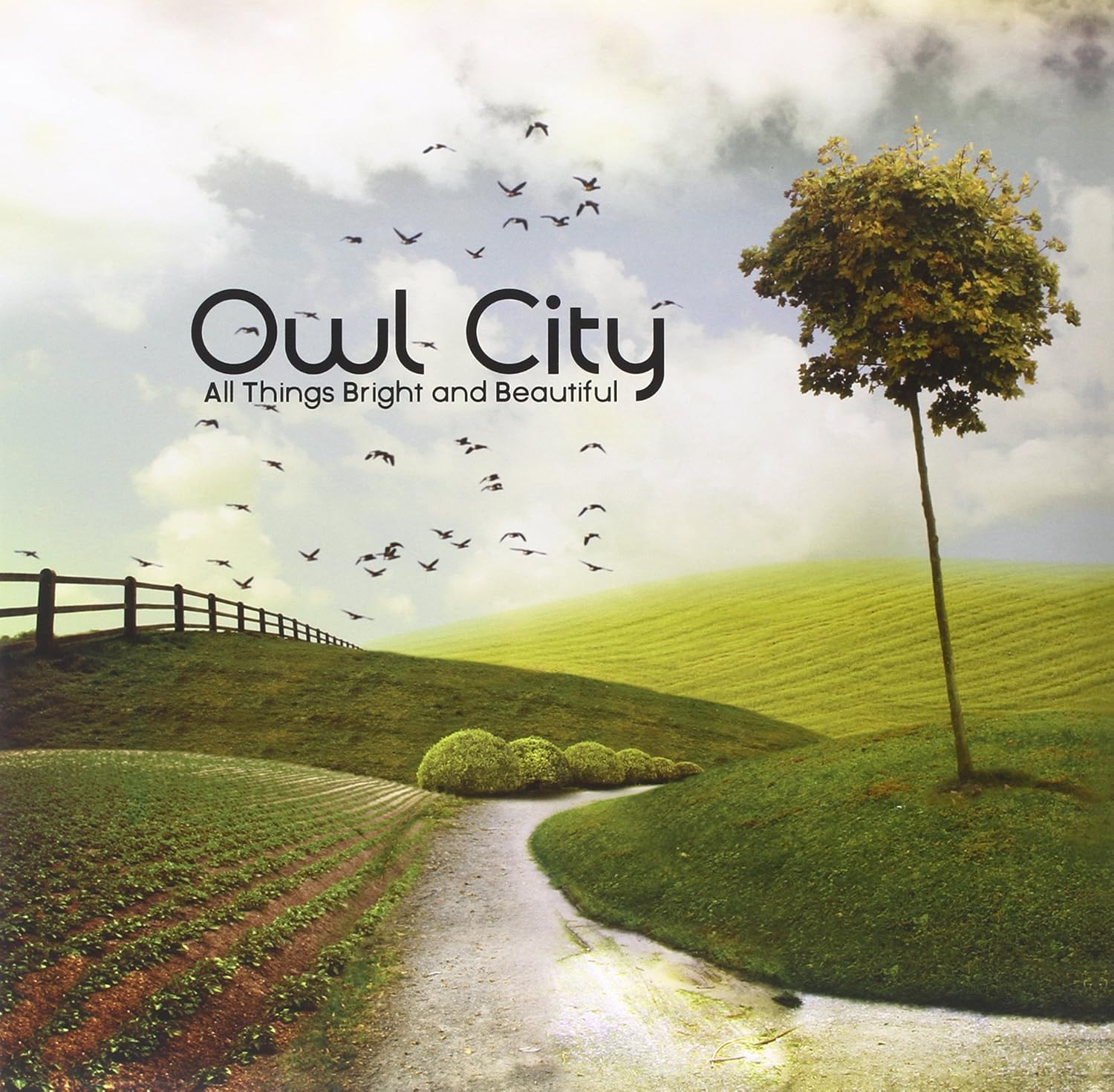 Owl City - All Things Bright and Beautiful - Music & Performance - Vinyl