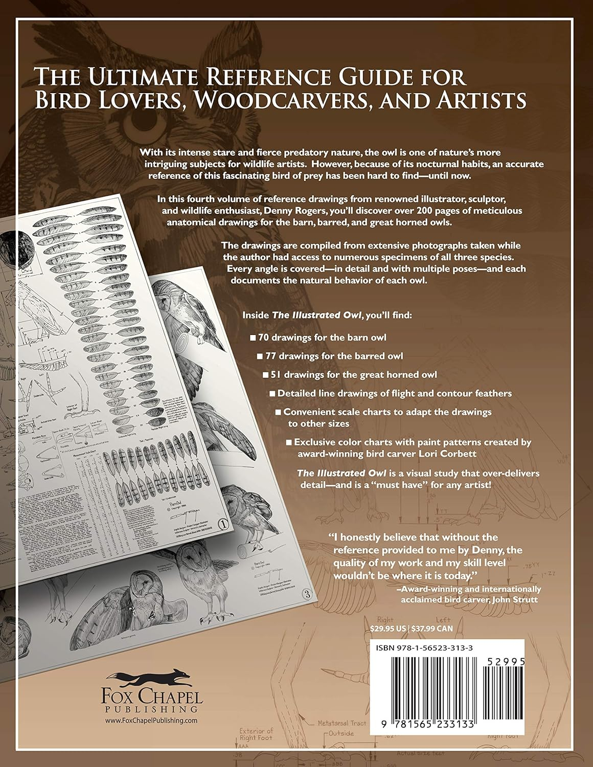 Illustrated Owl Reference Guide for Bird Lovers and Artists