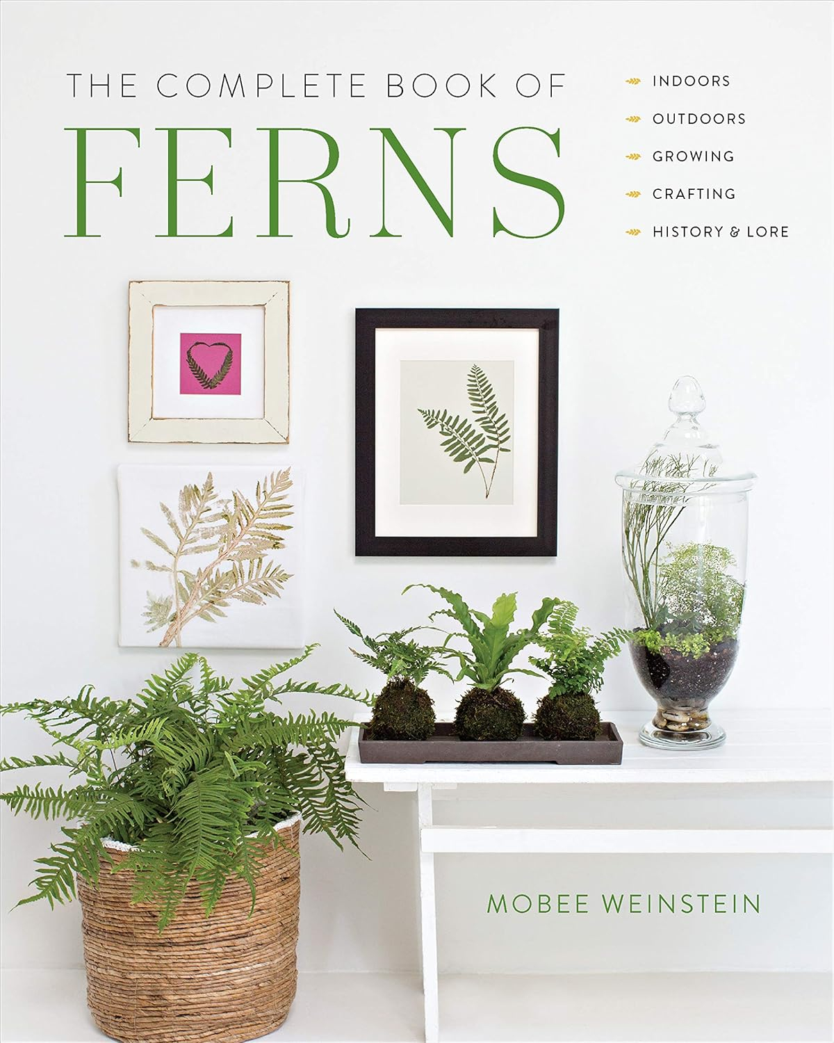 The Complete Guide to Indoor and Outdoor Fern Crafting