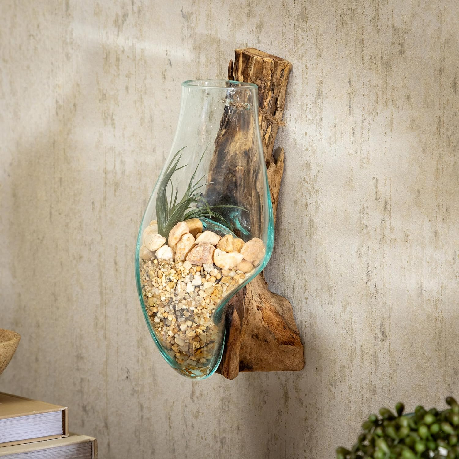 Cape Craftsmen Wall Mounted Molten Glass Hanging Terrarium on Driftwood, Indoor Wall Planter Vase on Wood, Propagation Station for Hydroponics Plants, Succulent Pot