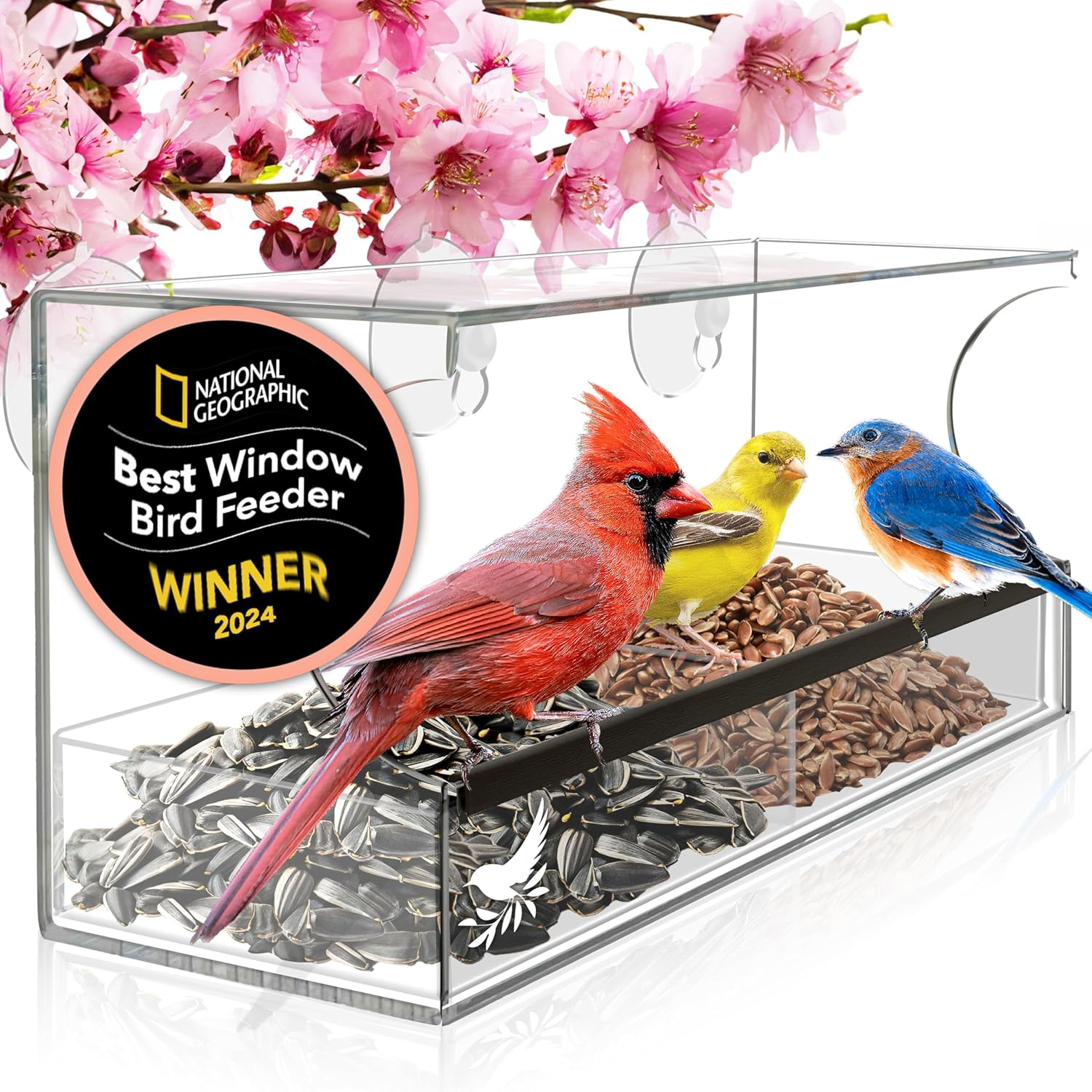 Nature’s Hangout Clear Suction Cup Window Bird Feeder for Wild Birds