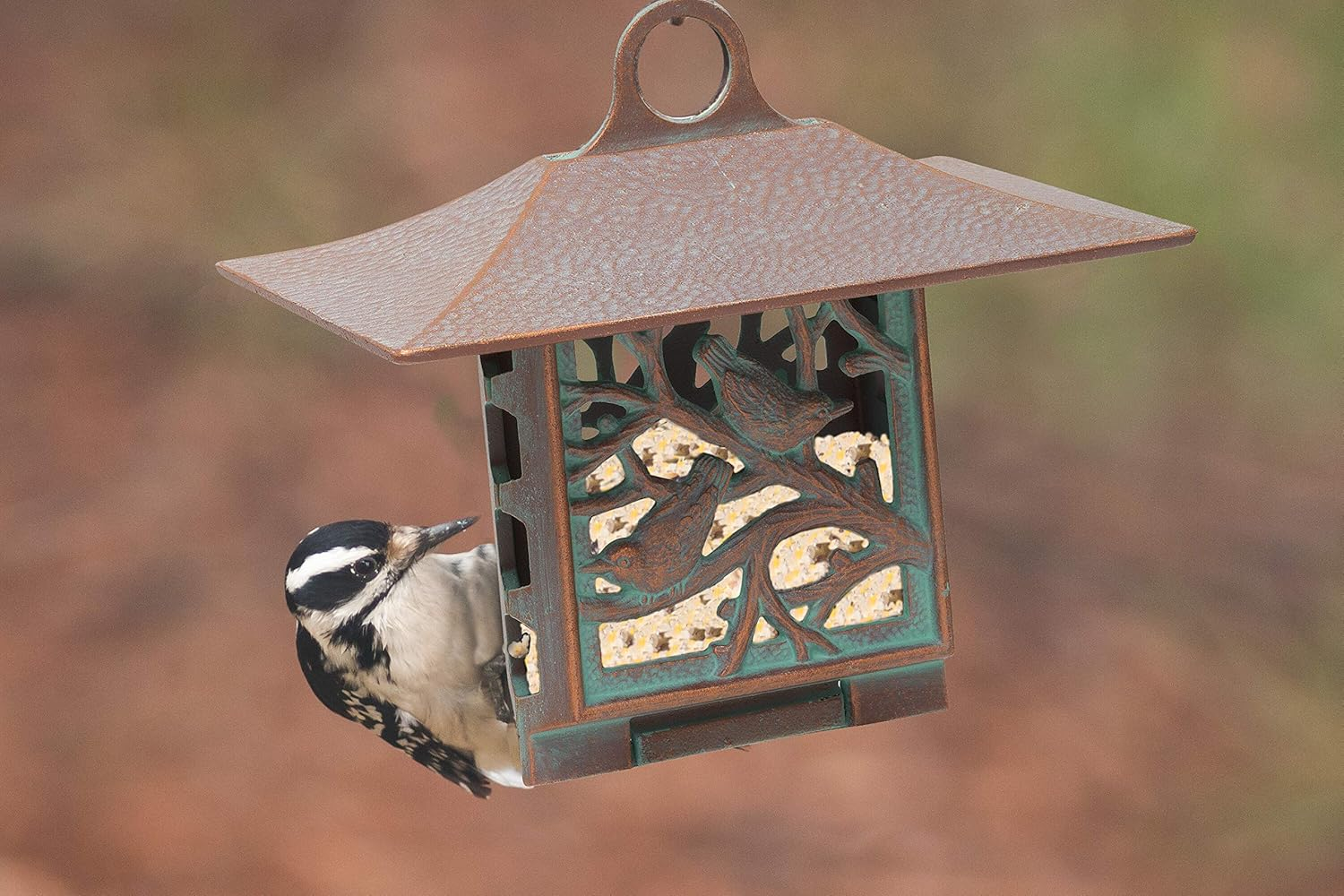Copper Verdigris Hanging Squirrel Resistant Suet Cage Bird Feeder