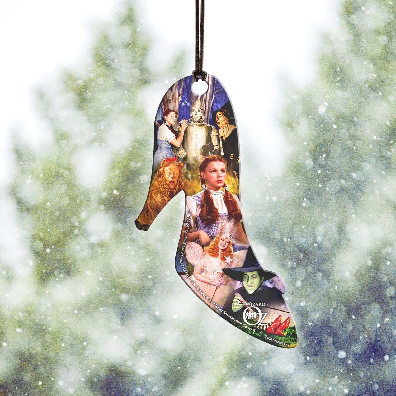 Trend Setters Wizard of Oz Ruby Slipper Hanging Acrylic Shaped Print