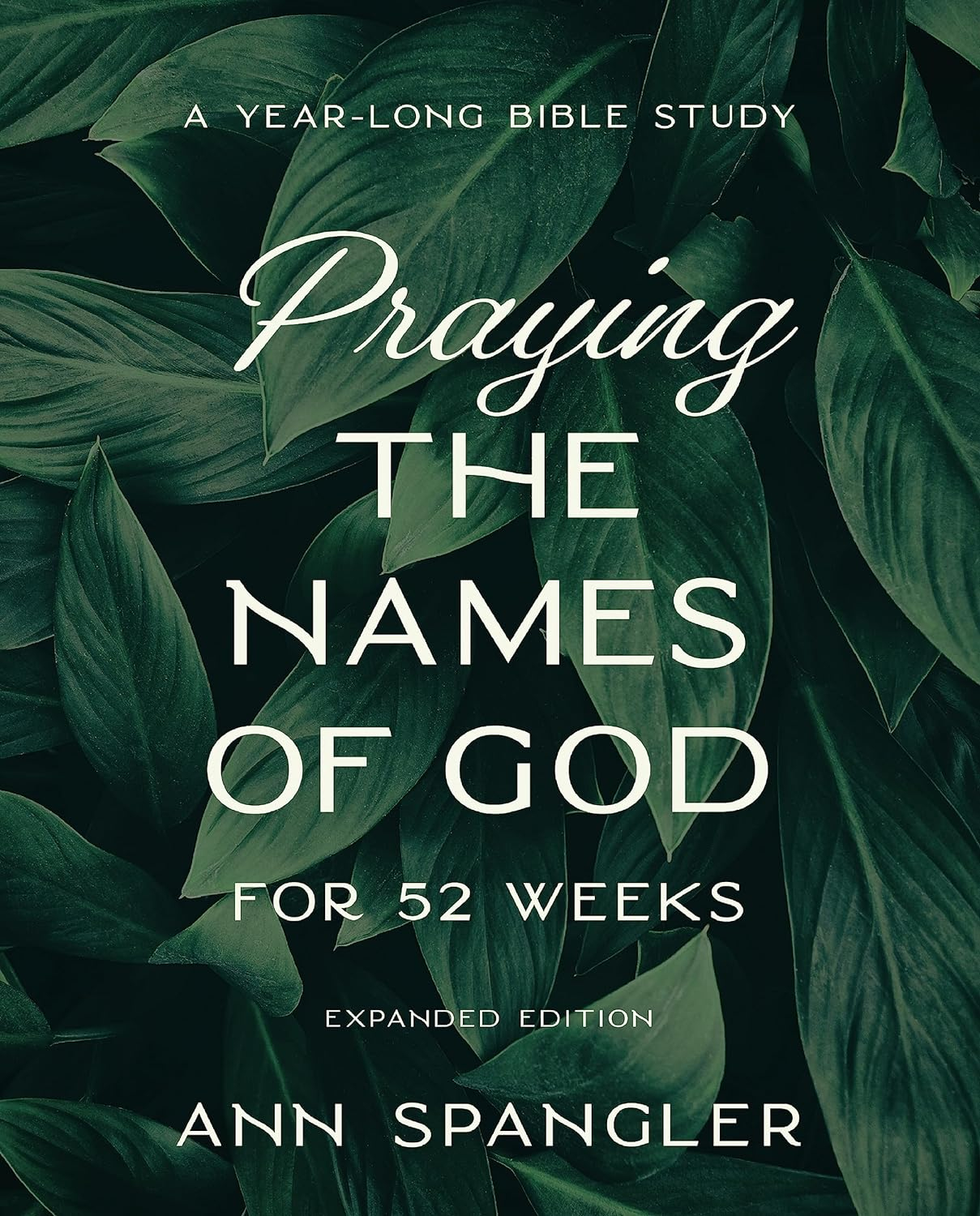 Praying the Names of God for 52 Weeks, Expanded Edition - by  Ann Spangler (Paperback)