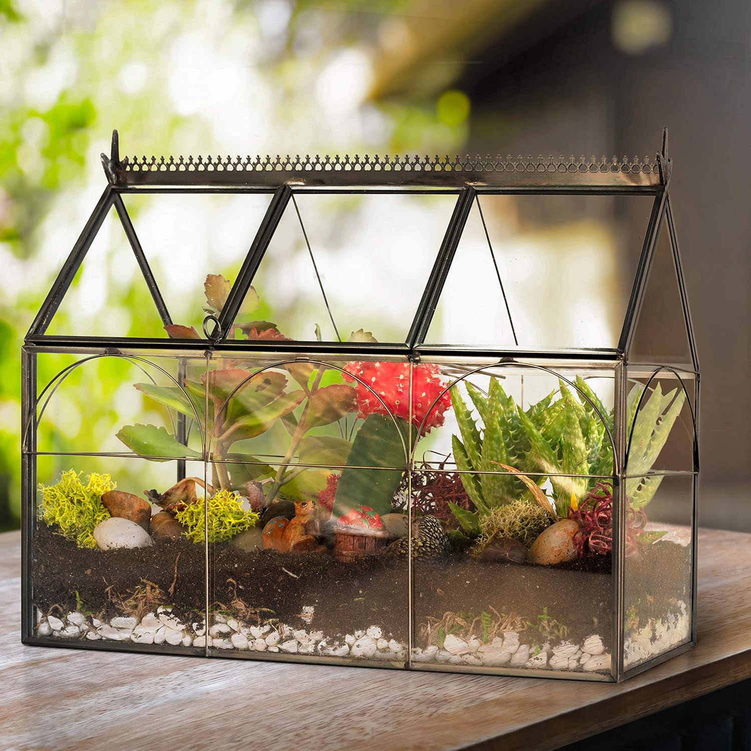 D'Eco Glass Greenhouse Plant Terrarium (10x4.5x9) - Indoor Tabletop Black Hinged Geometric Planter Holiday Decor - Christmas Gift for Plant Lovers