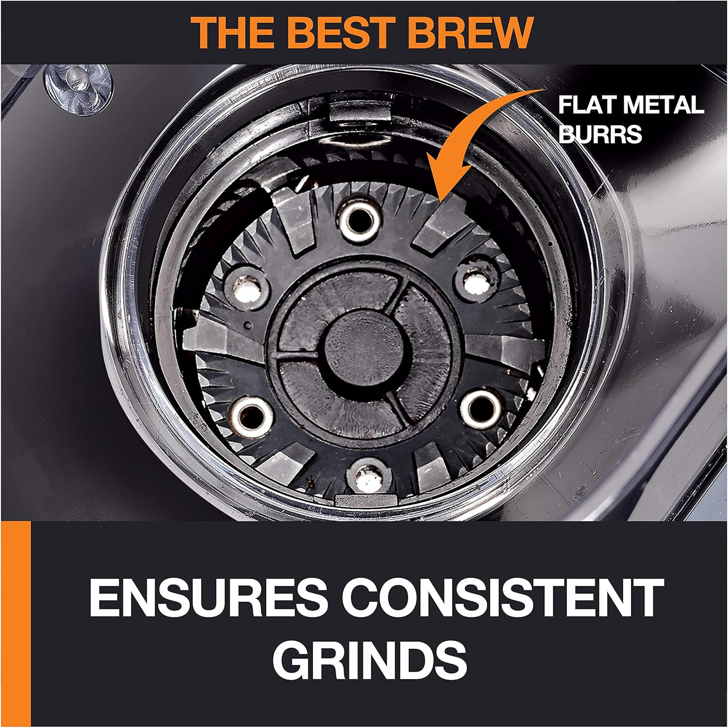 Krups 12-Cup Burr Grinder