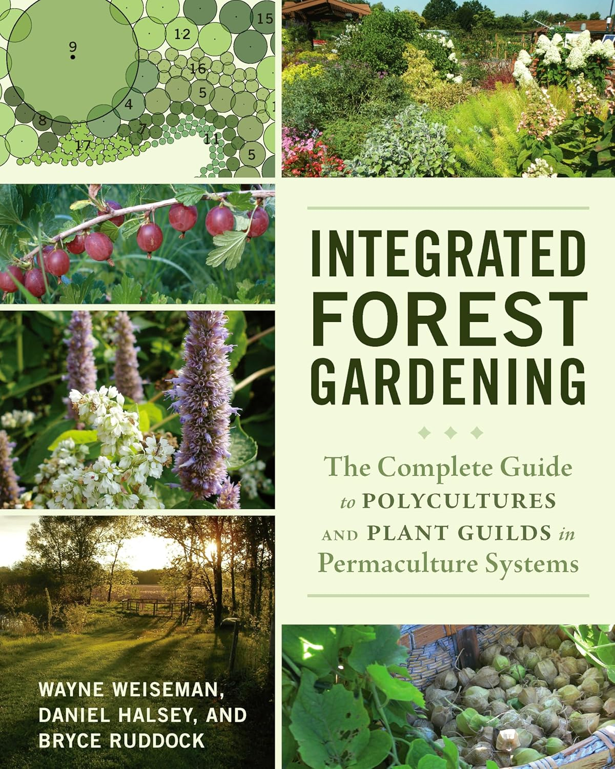 Integrated Forest Gardening - by  Wayne Weiseman & Daniel Halsey & Bryce Ruddock (Paperback)