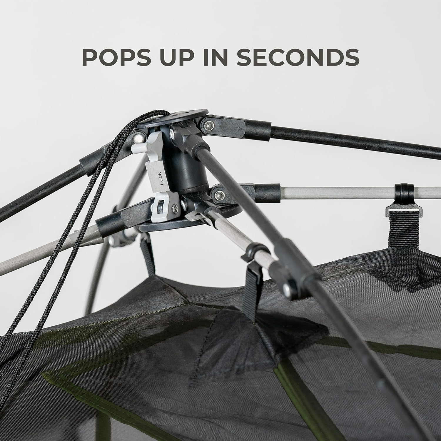 TETON Sports Vista 2 Quick Tent