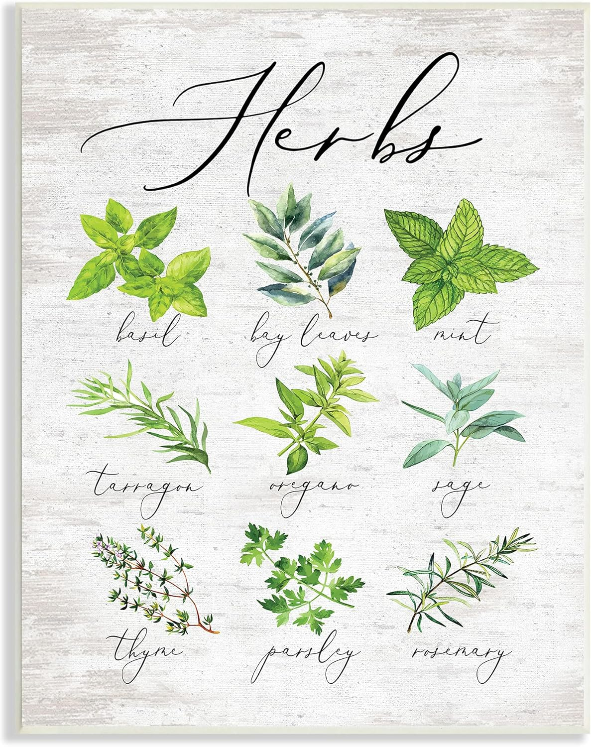 Stupell Indtries Kitchen Herb Reference Chart Garden Fresh Home Seasoning,10 x 15,Design by Lettered and Lined