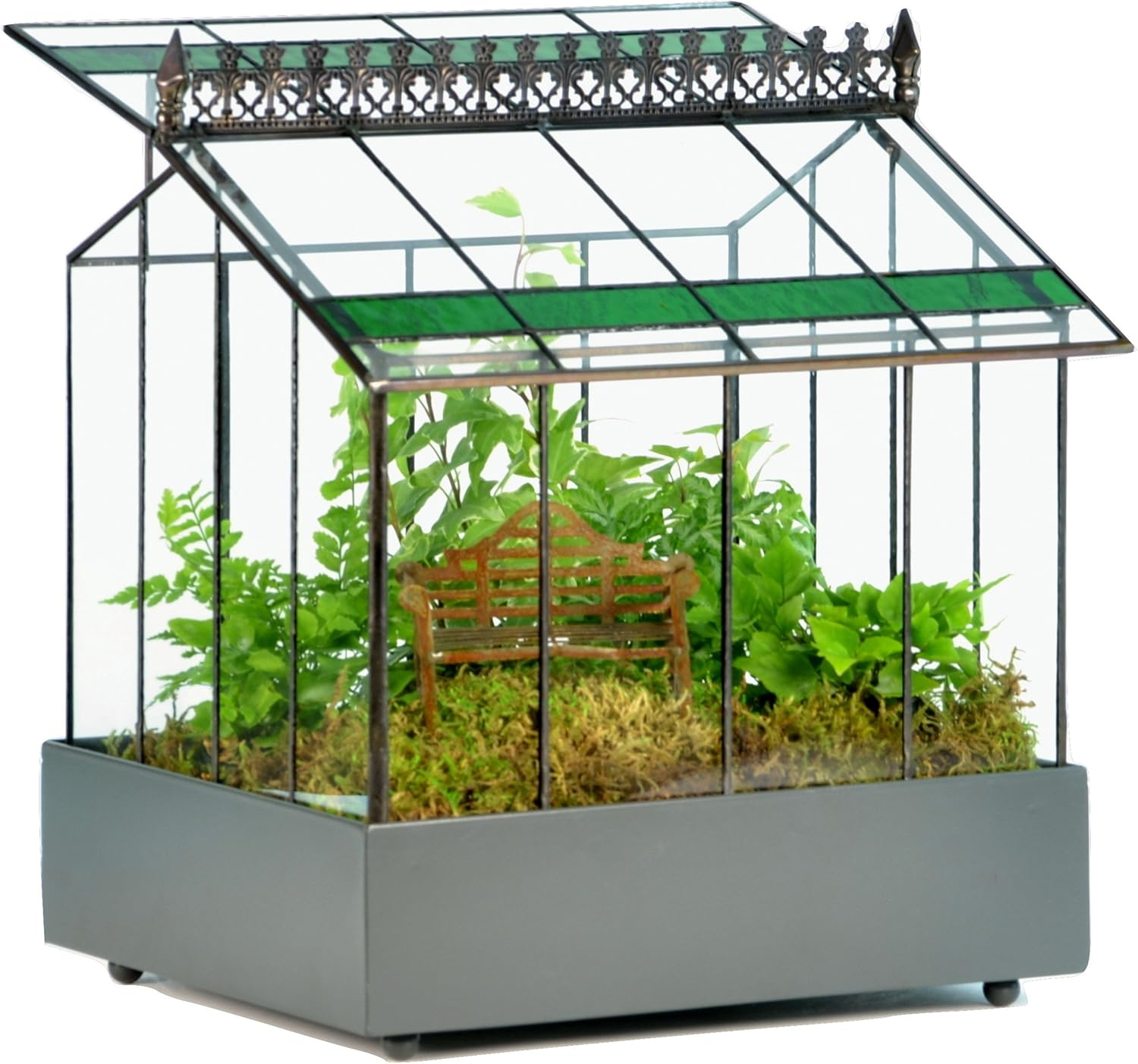 H Potter Glass Terrarium Planter Wardian Case Container with Green Glass Accent for Succulent Plants Flowers Orchids Foliage and More WAR143