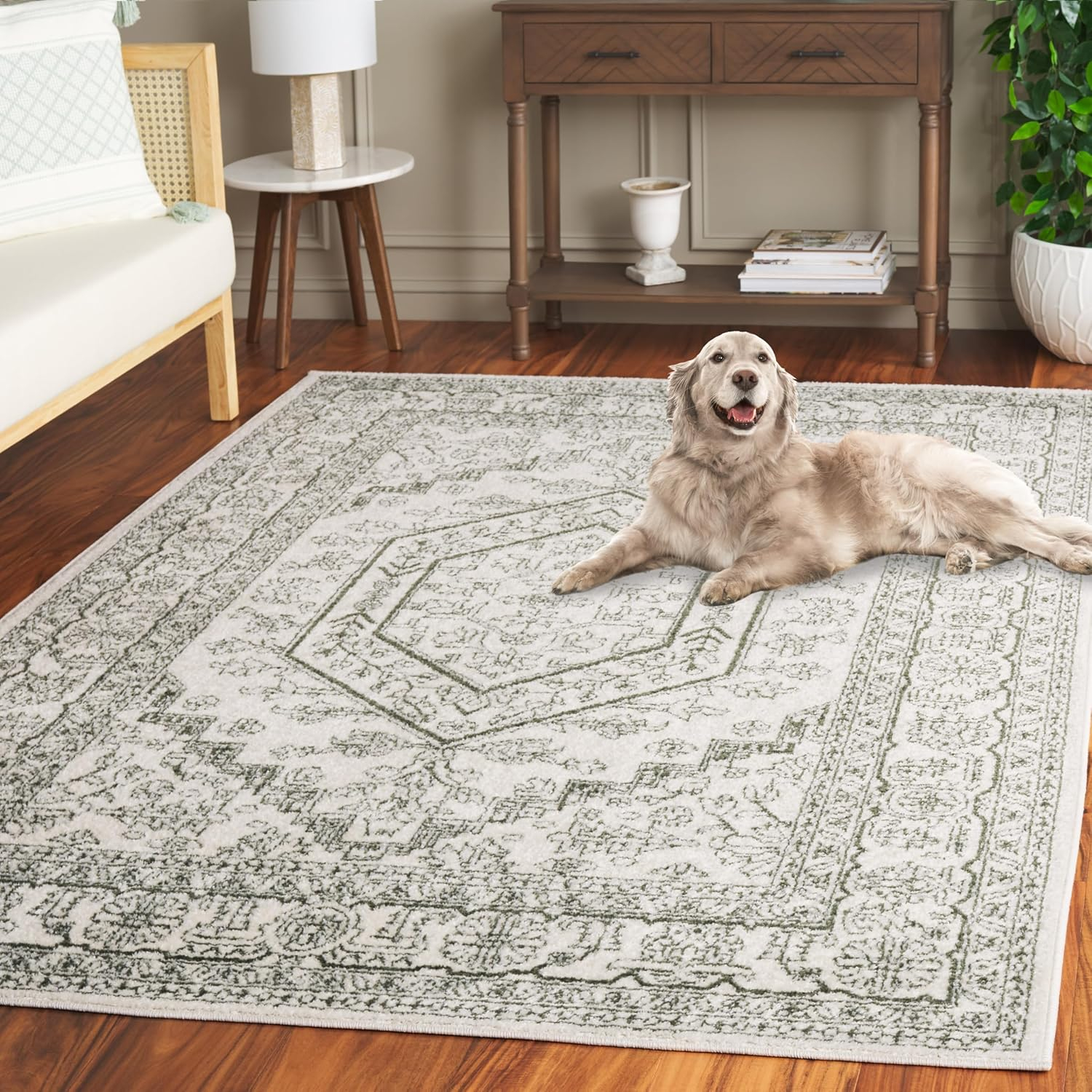 SAFAVIEH Adirondack Xavier Oriental Area Rug, Ivory/Dark Green, 8' x 10'