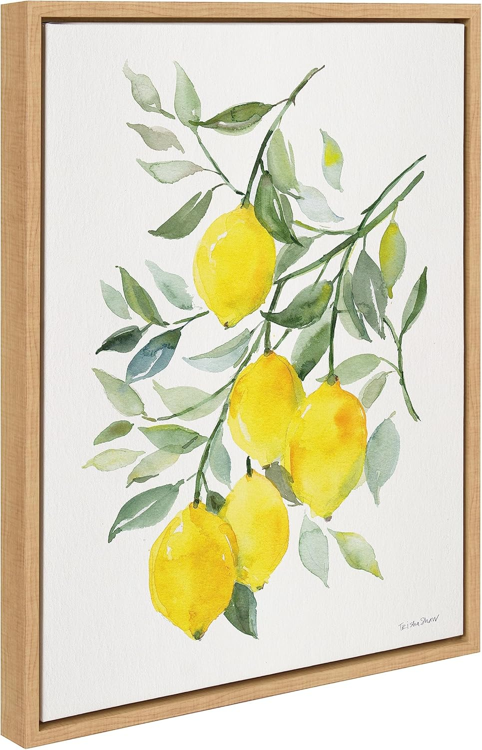 Kate and Laurel Sylvie Lemon Citrus Framed Canvas Wall Art by Patricia Shaw, 18x24 Natural, Colorful Bright Yellow Fruit Art for Wall