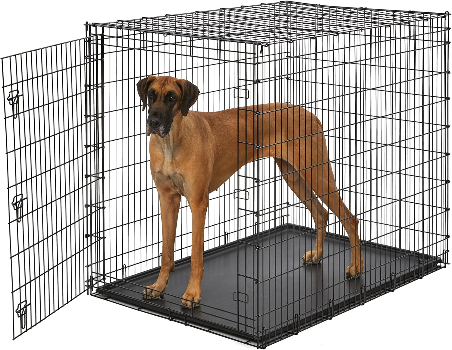 MidWest Homes For Pets XX-Large Single Door Metal Wire Dog Crate, 54"