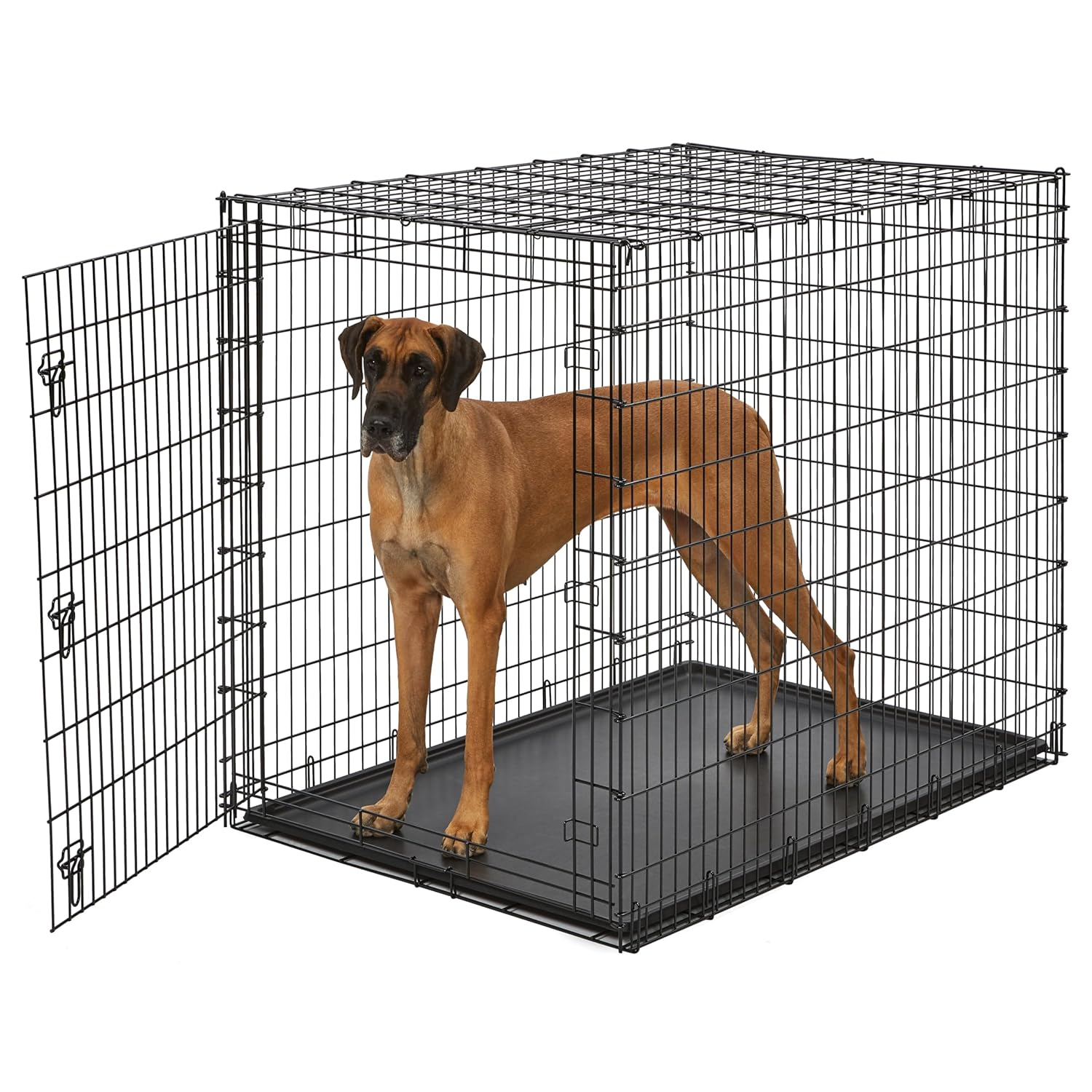 MidWest Homes For Pets XX-Large Single Door Metal Wire Dog Crate, 54"