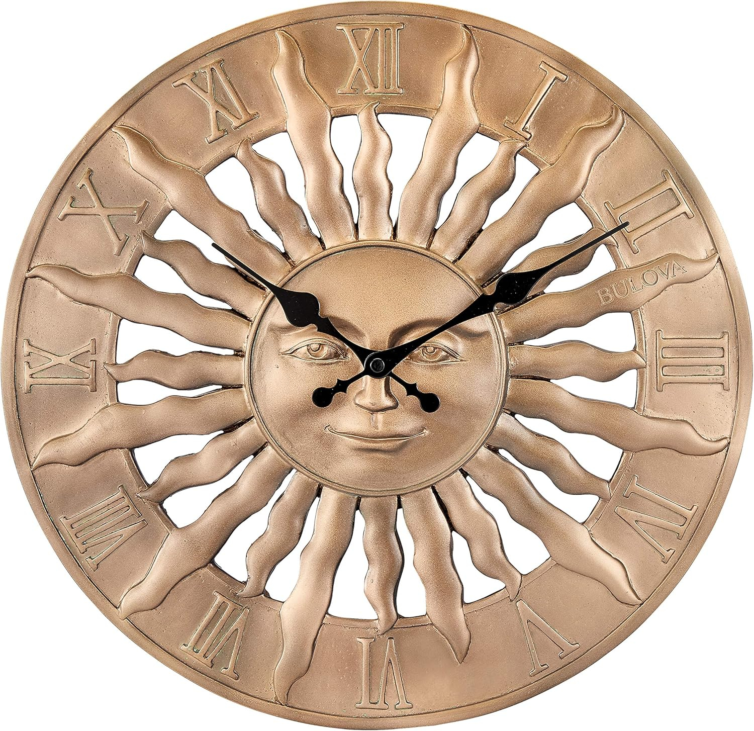 Indoor Outdoor 3-Dimensional Raised Design 14.3 in. Wall Clock with Resin Case