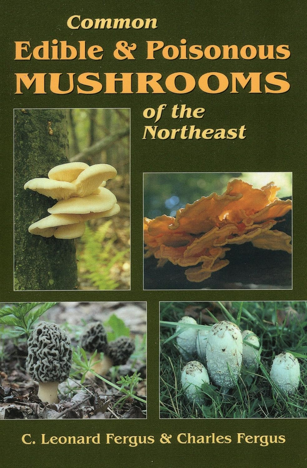 Common Edible & Poisonous Mushrooms of the Northeast (Paperback)