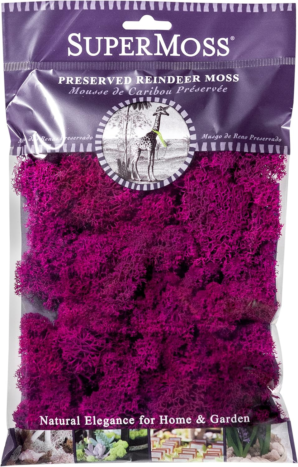 Super Moss  23164 Reindeer Moss Fuchsia, 2oz