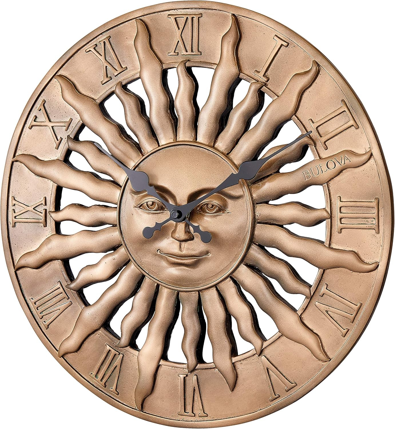 Indoor Outdoor 3-Dimensional Raised Design 14.3 in. Wall Clock with Resin Case