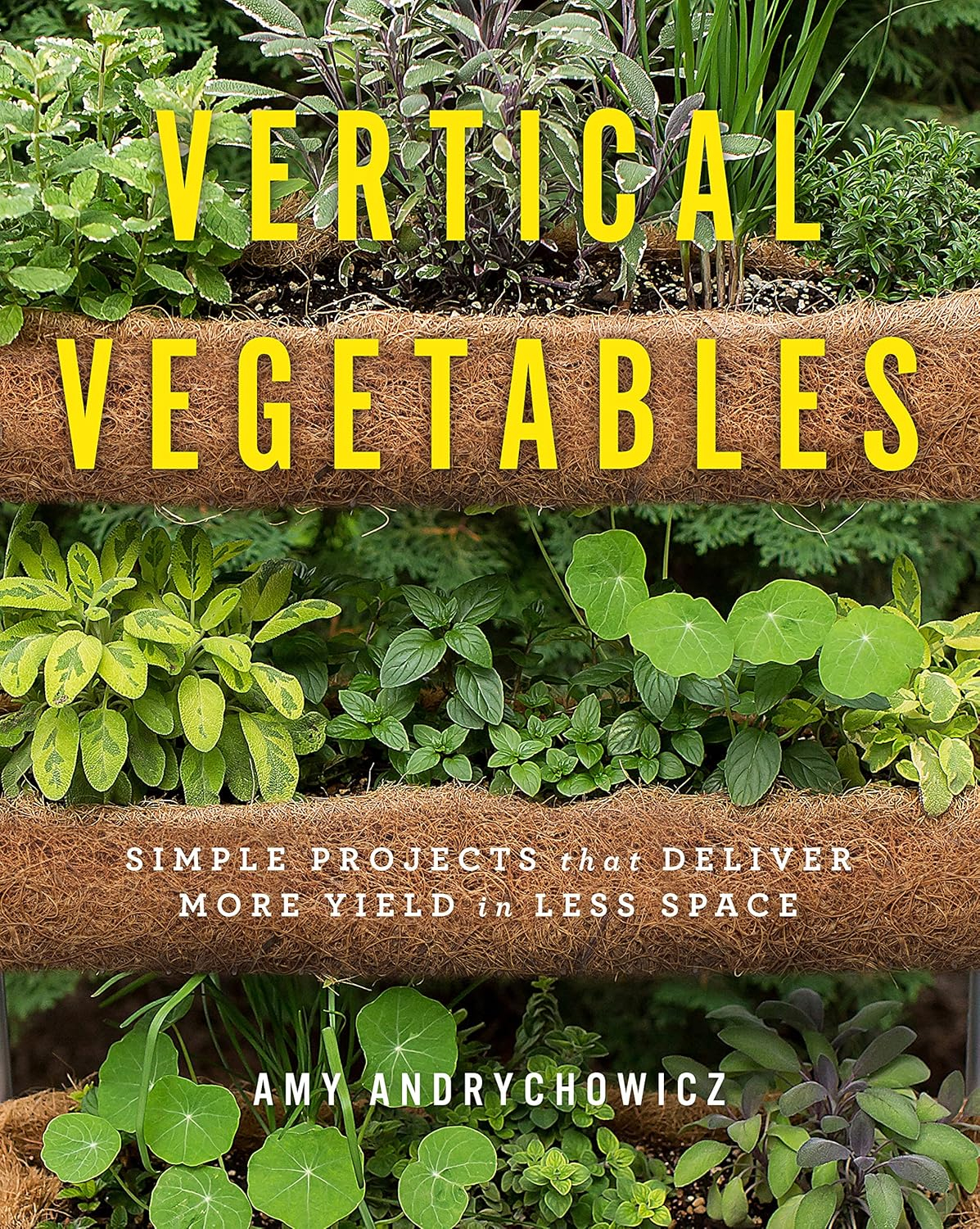 Vertical Vegetables - by  Amy Andrychowicz (Paperback)