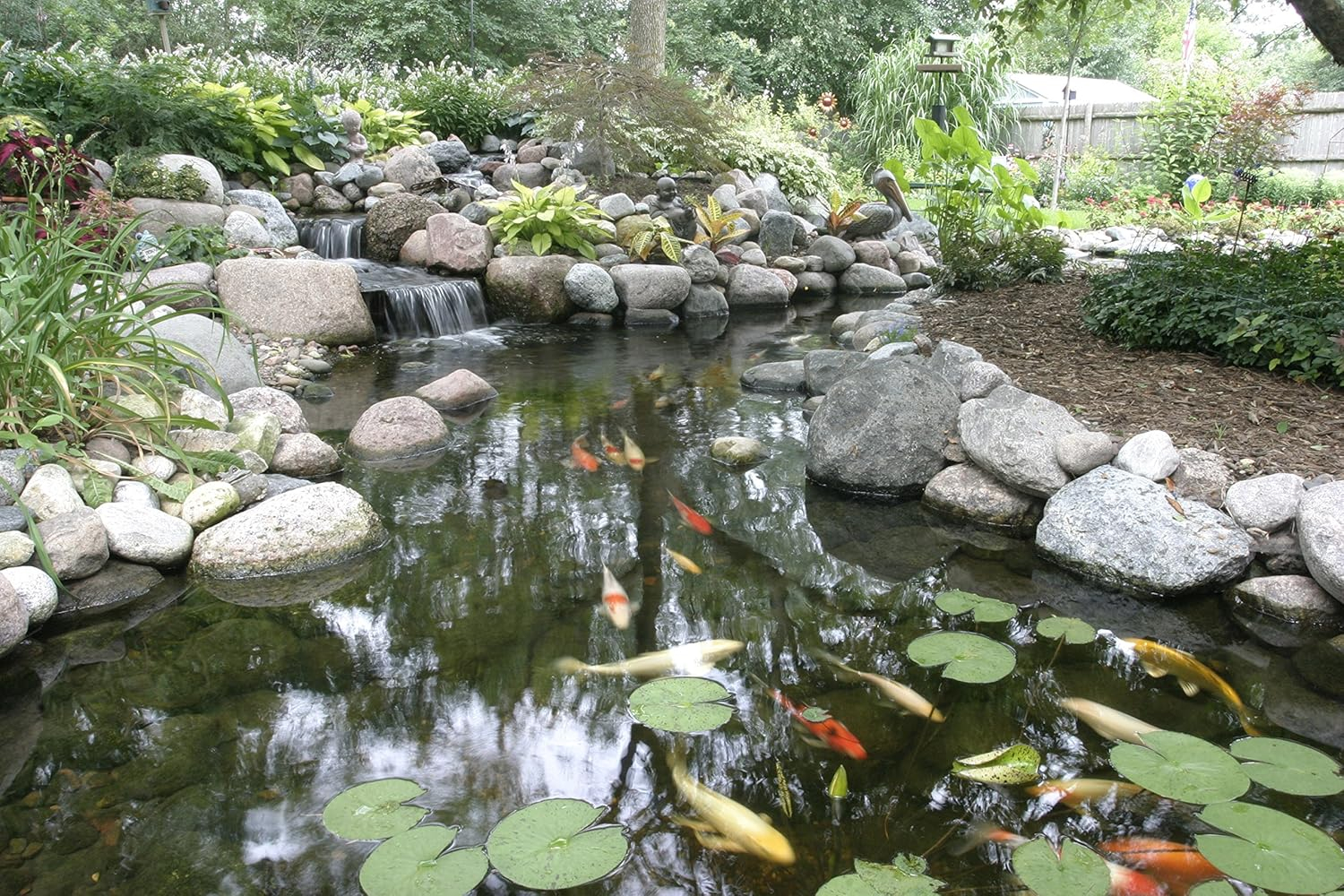 Aquascape 98894 Cold Water Beneficial Bacteria for Pond and Water Features, 32-Ounce