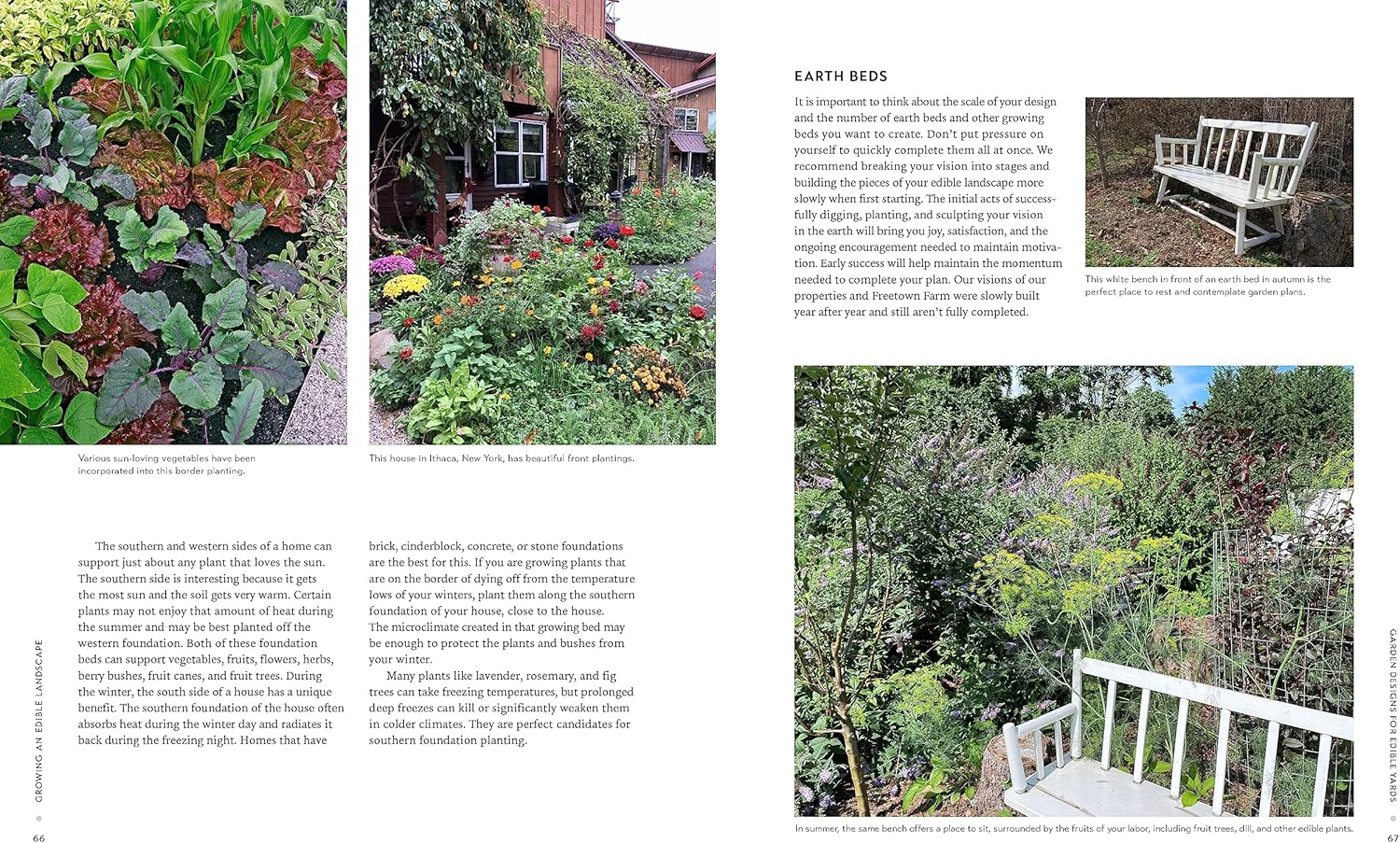 Growing an Edible Landscape: Transform Your Outdoor Space into a Food Garden