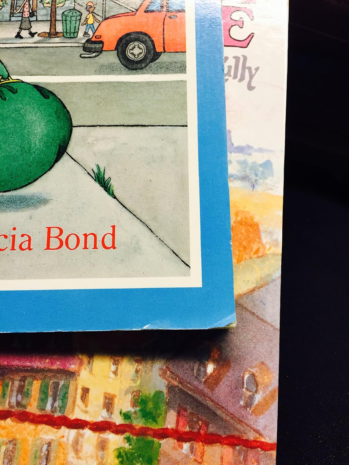 The Big Green Pocketbook - by  Candice F Ransom (Paperback)