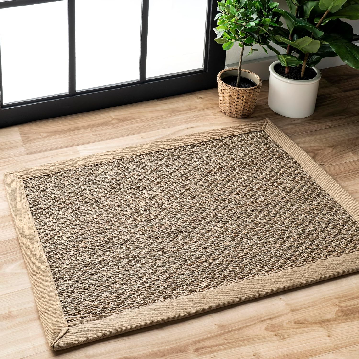nuLOOM Elijah Farmhouse Seagrass Area Rug, 2' x 3', Beige