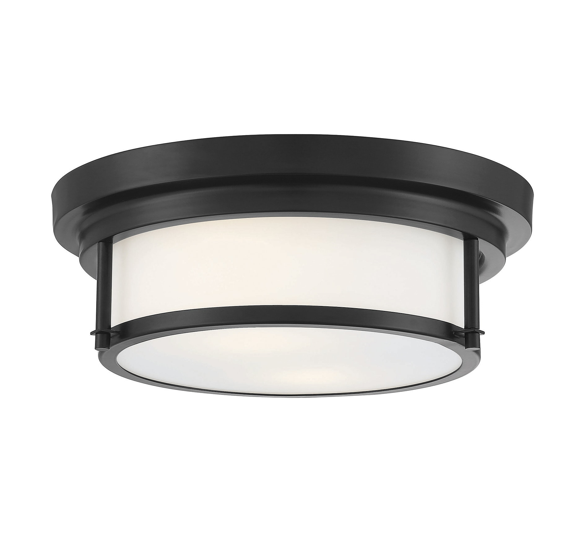 Trade Winds Lighting 2-Light Ceiling Light In Matte Black