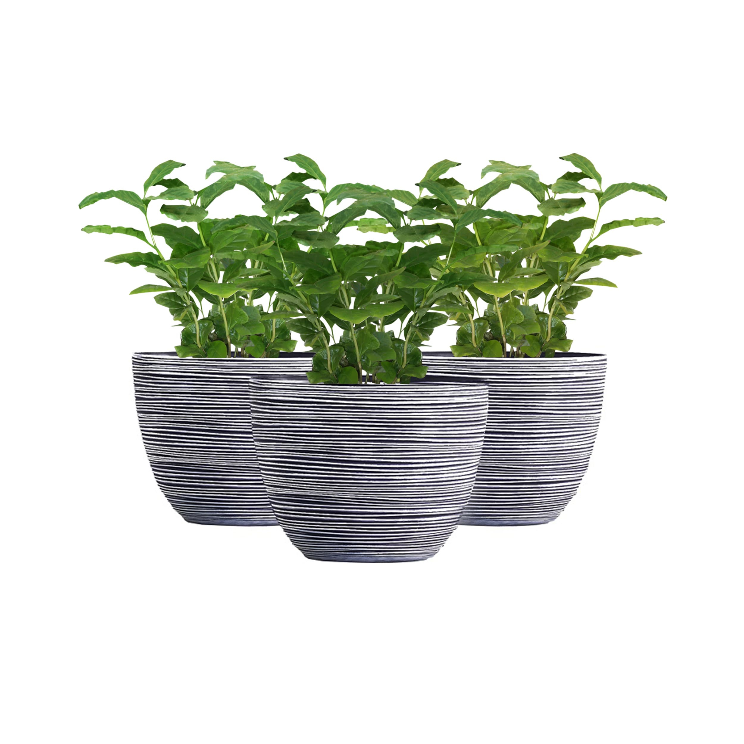 Xbrand Modern Nested Round Textured Pot Planter, Set of 3, 12 Inch Tall, White