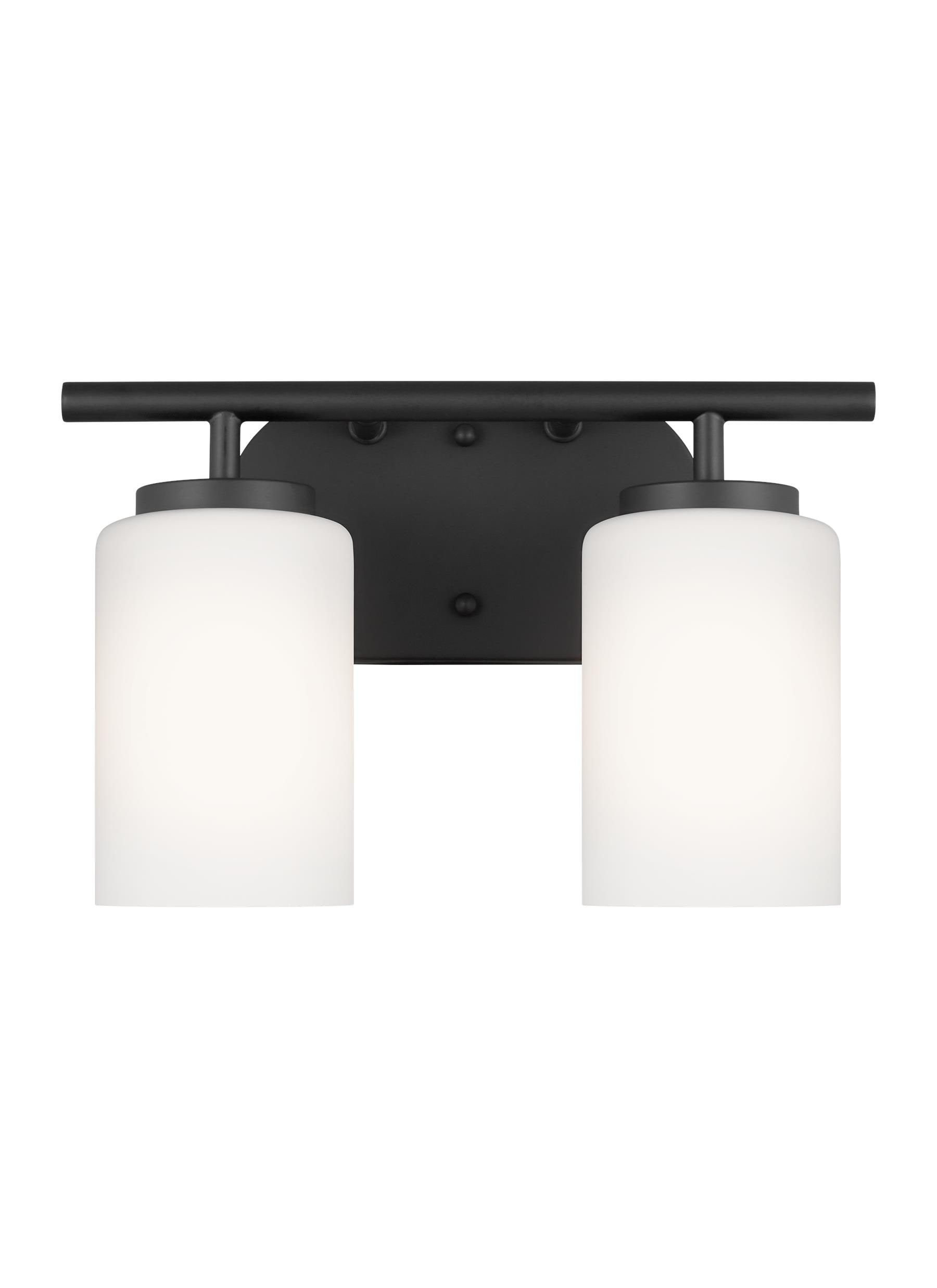 Oslo 12.5 in. 2-Light Midnight Black Transitional Contemporary Bathroom Vanity Light with Cased Opal Etched Glass Shades